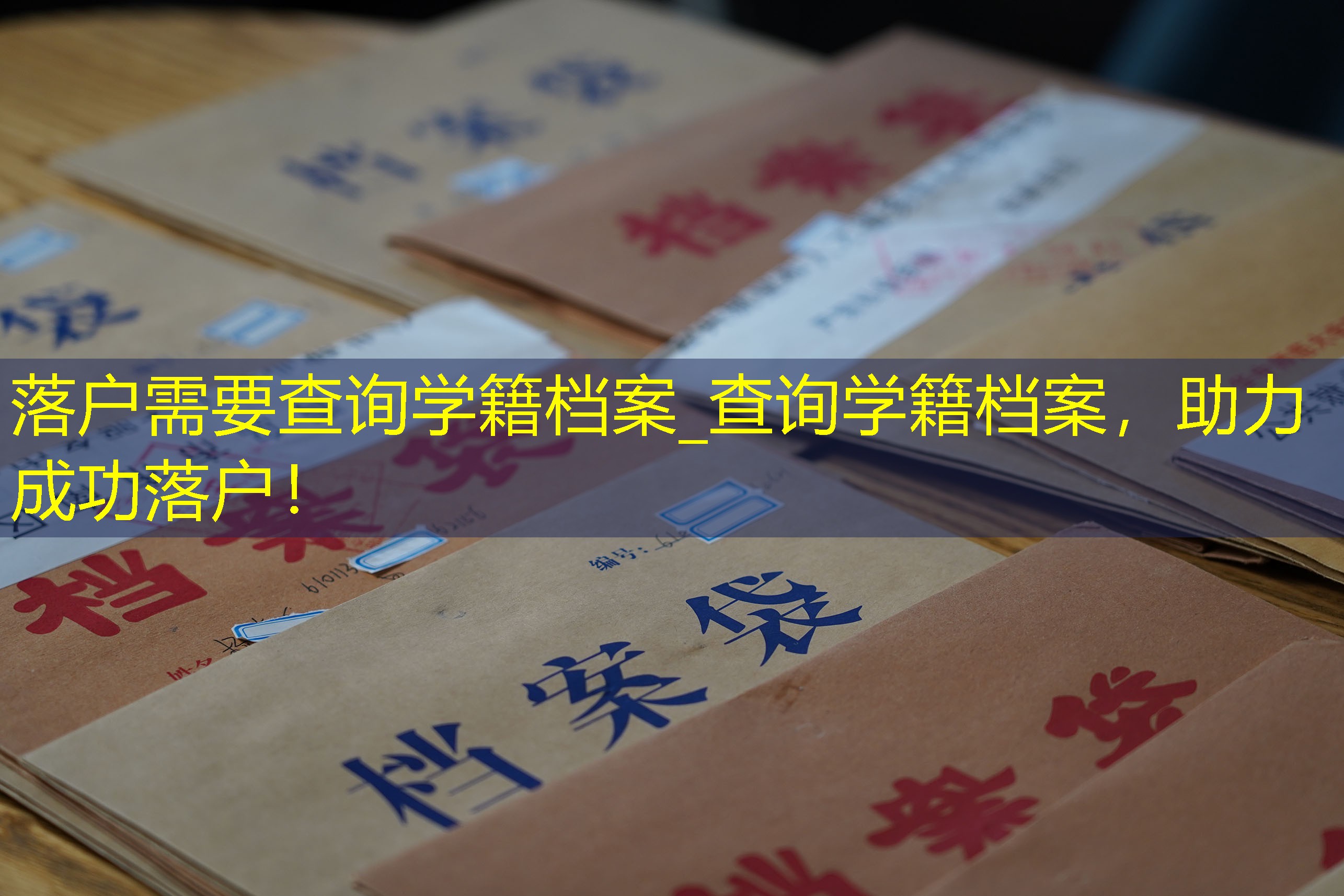 档案查询