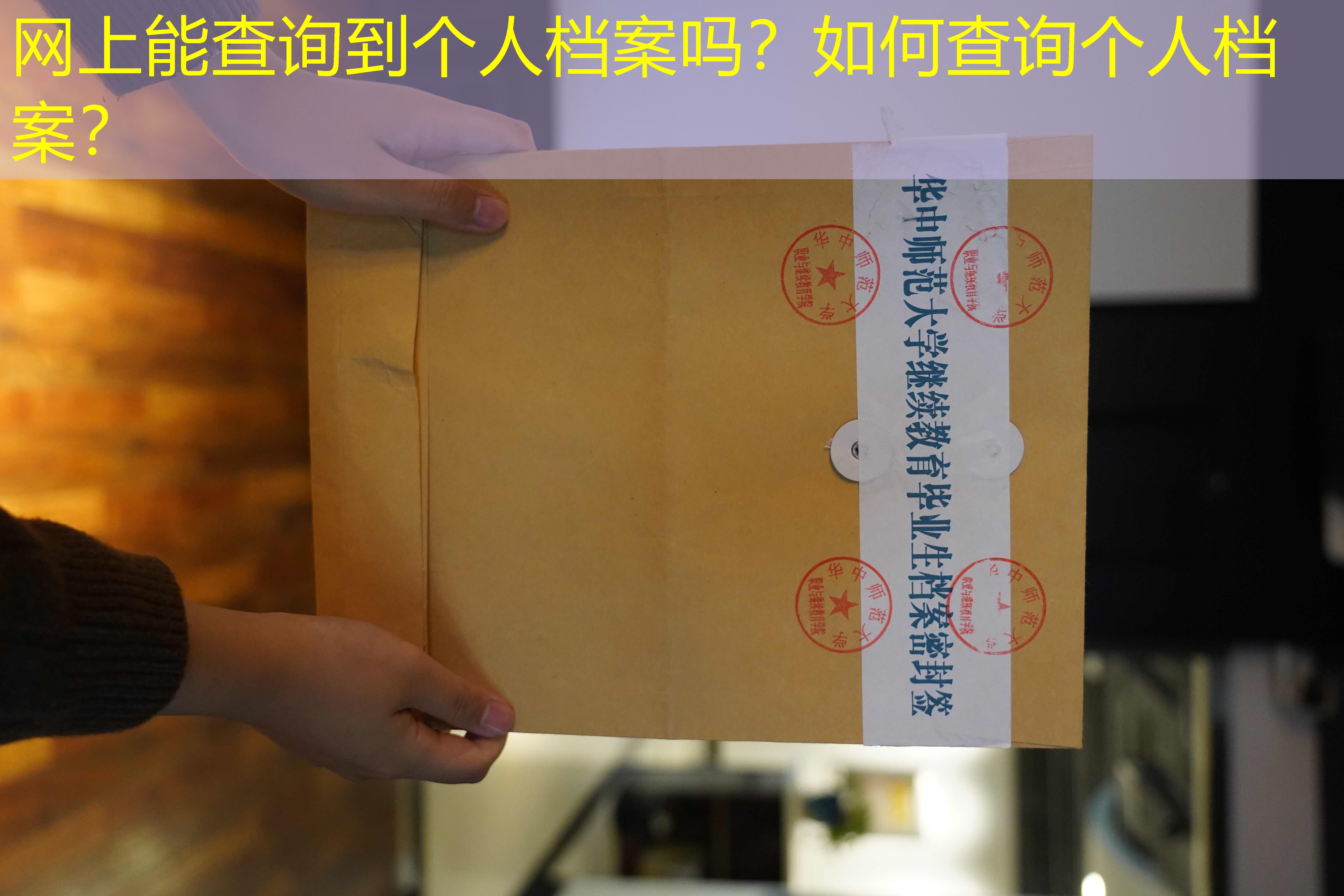 档案查询