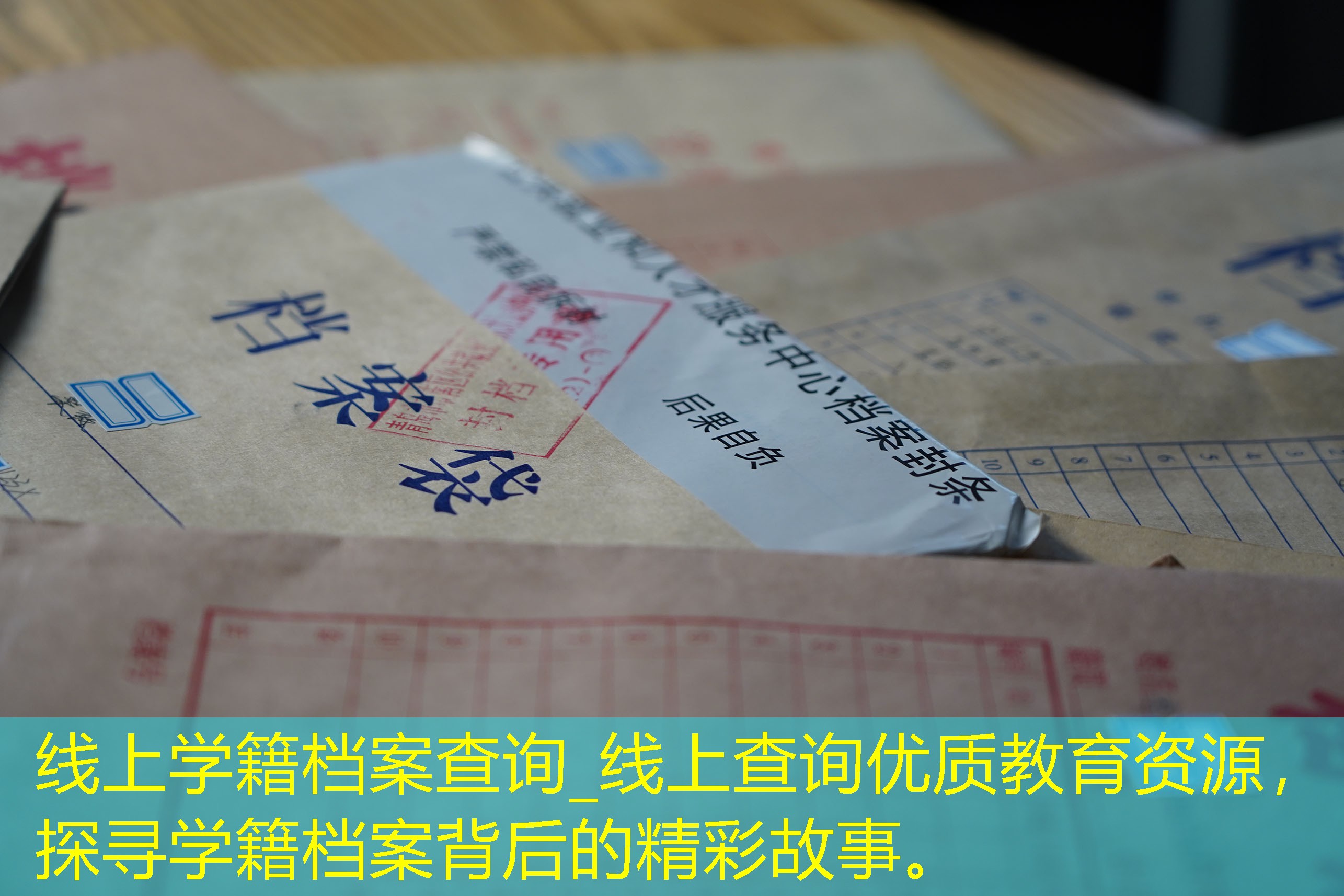档案查询