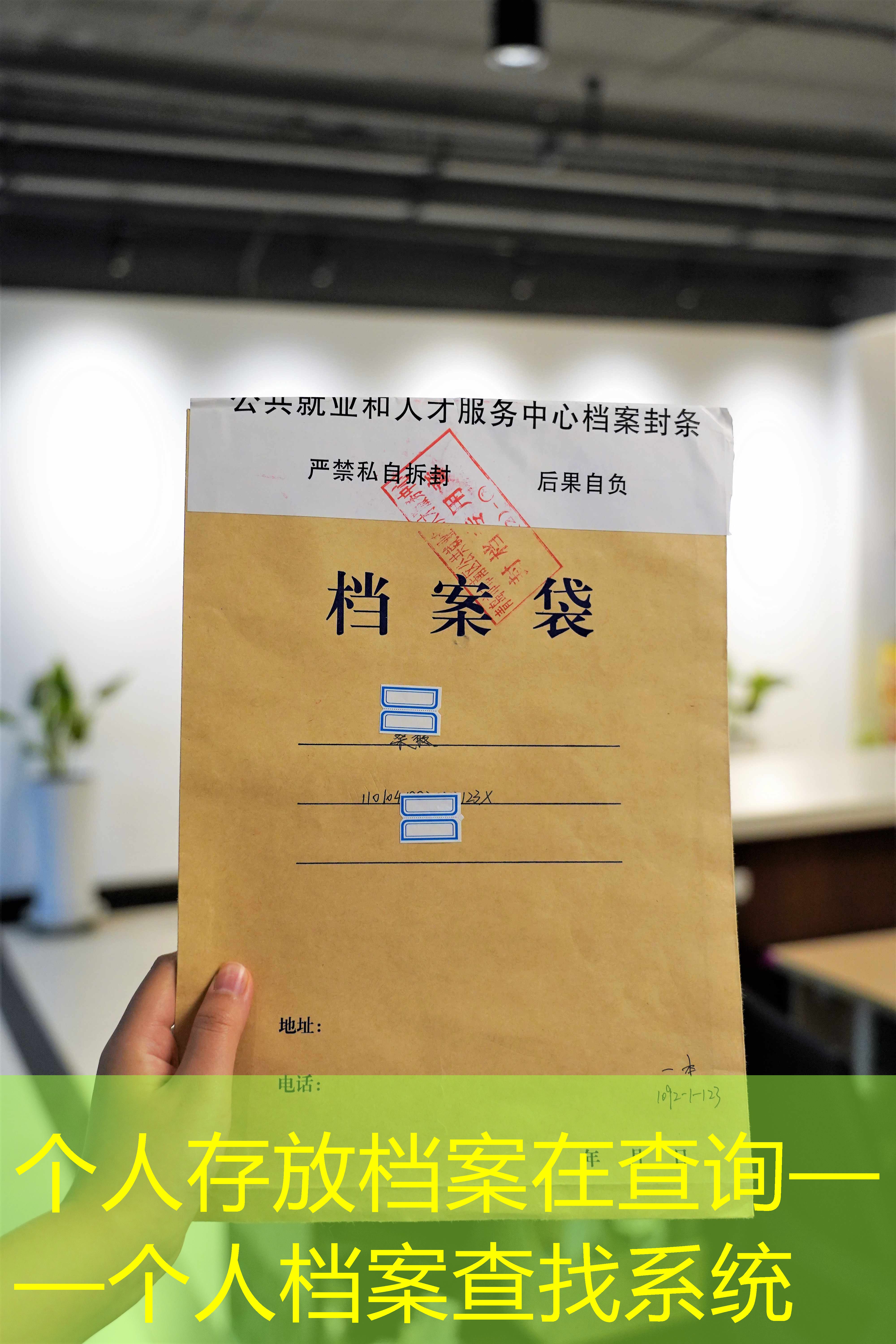 档案查询