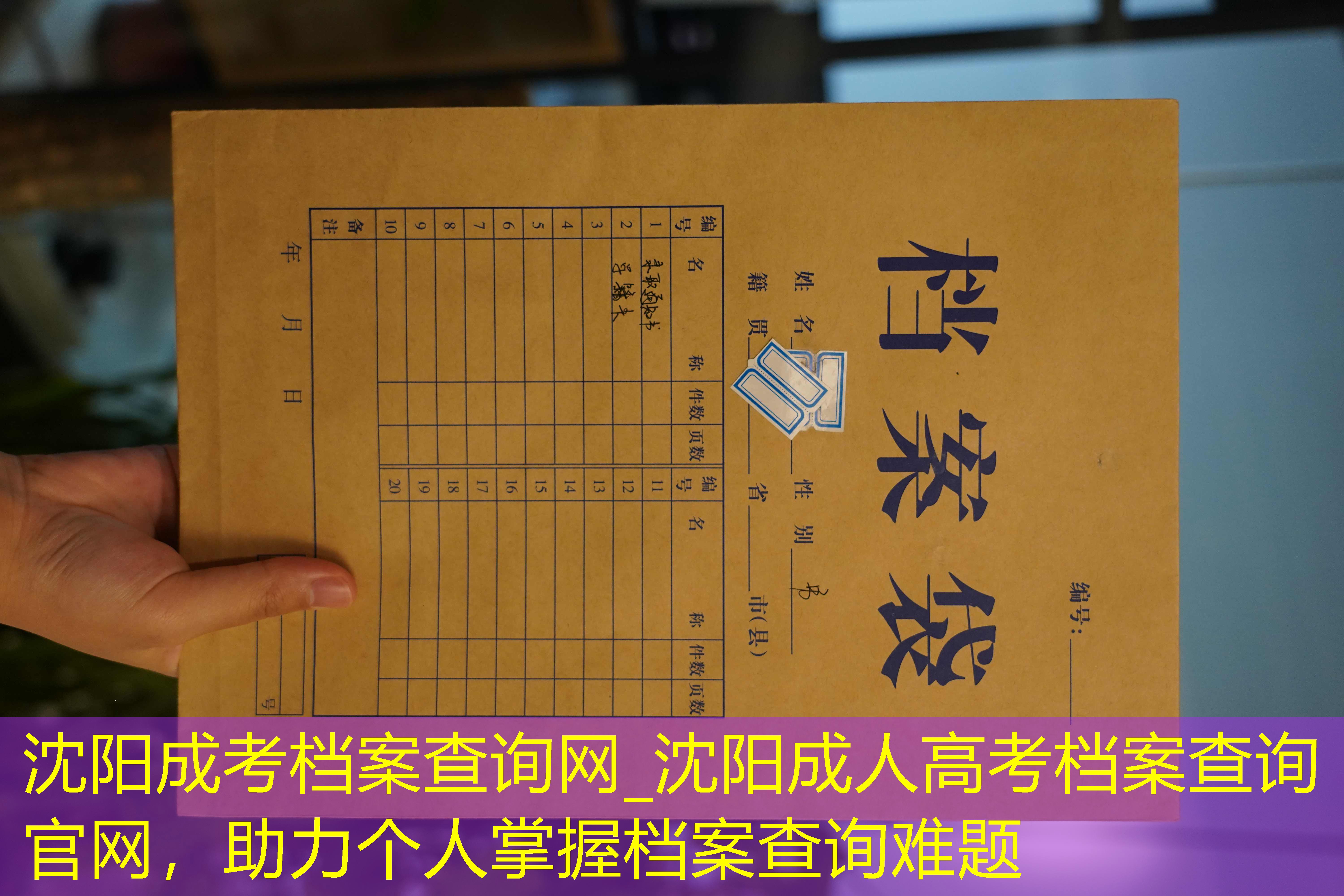 档案查询