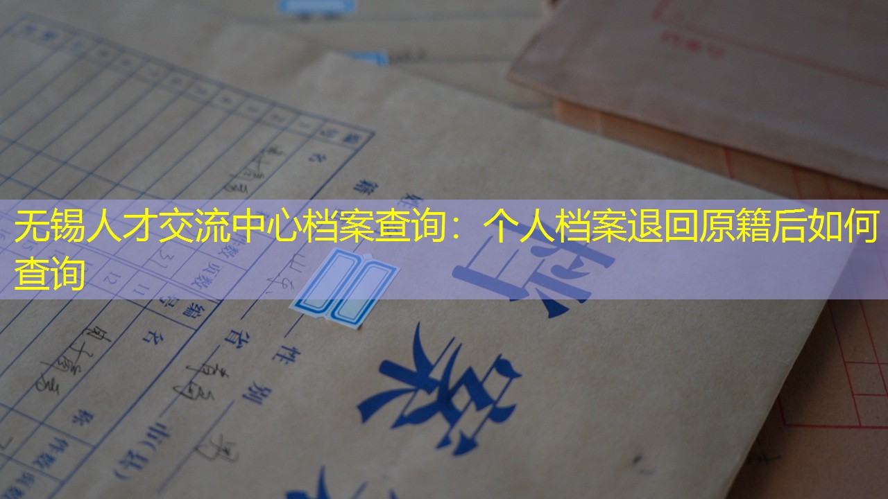 档案查询
