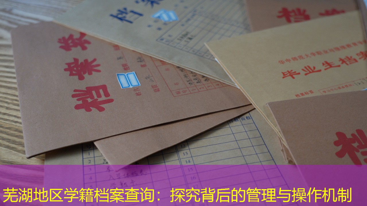 档案查询
