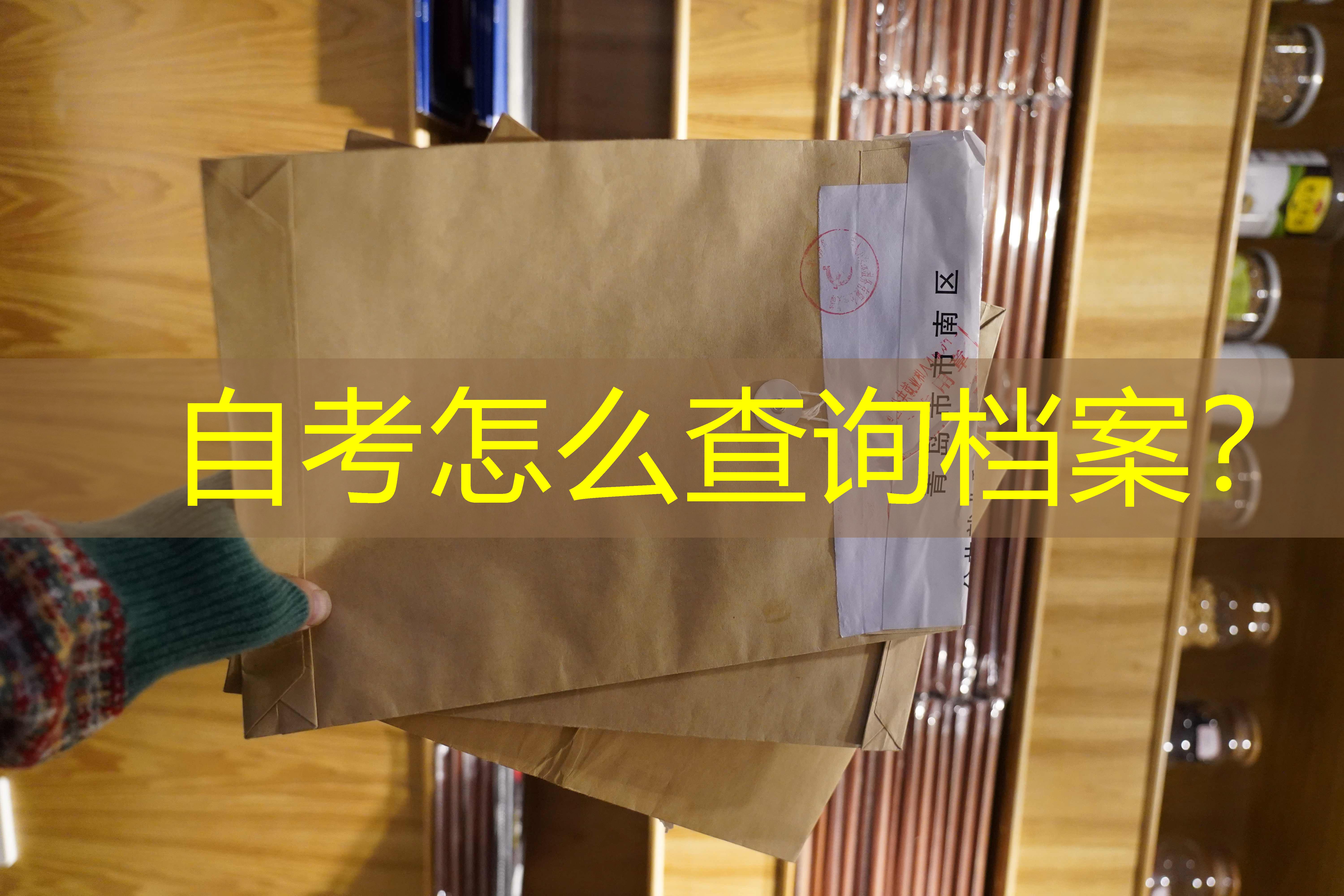 档案查询