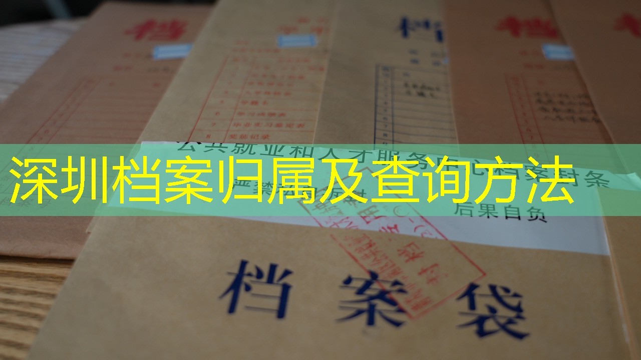 档案查询