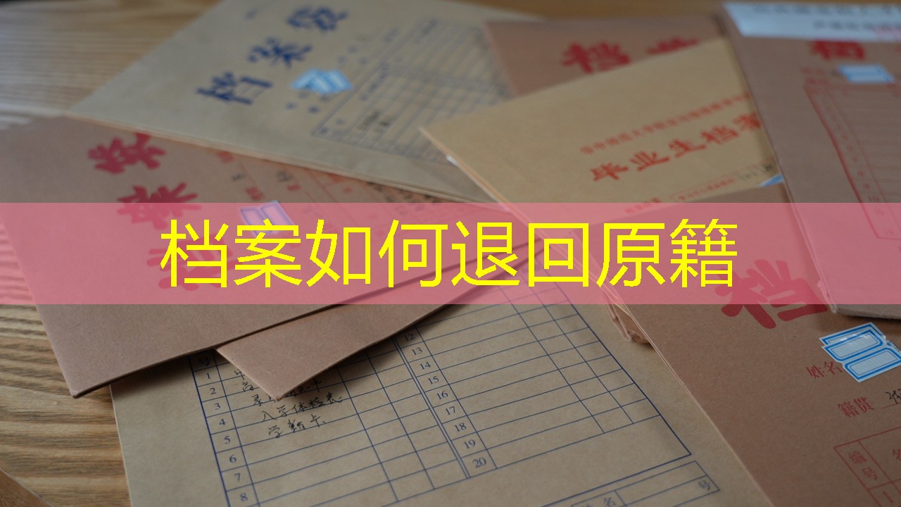 档案查询