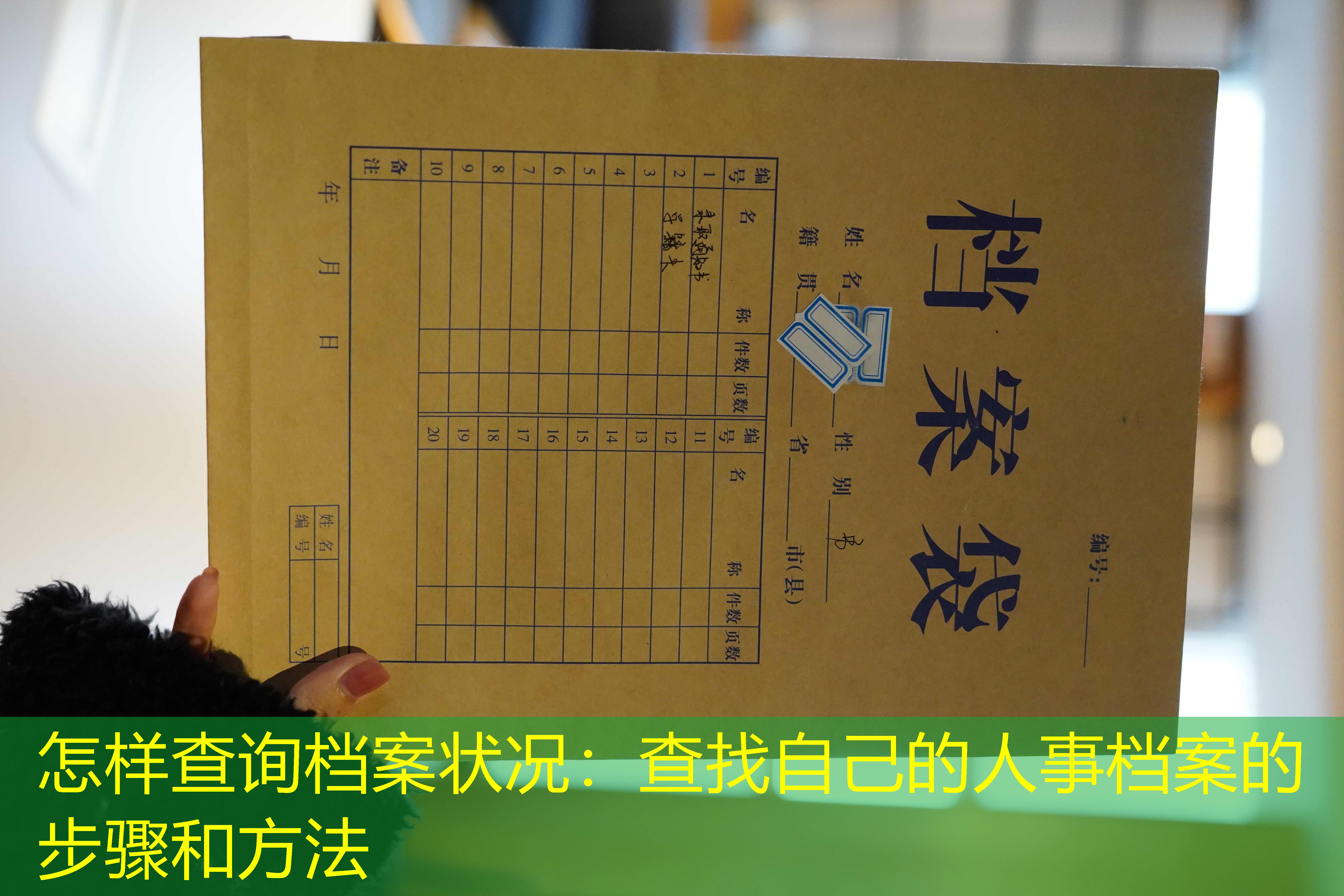 档案查询