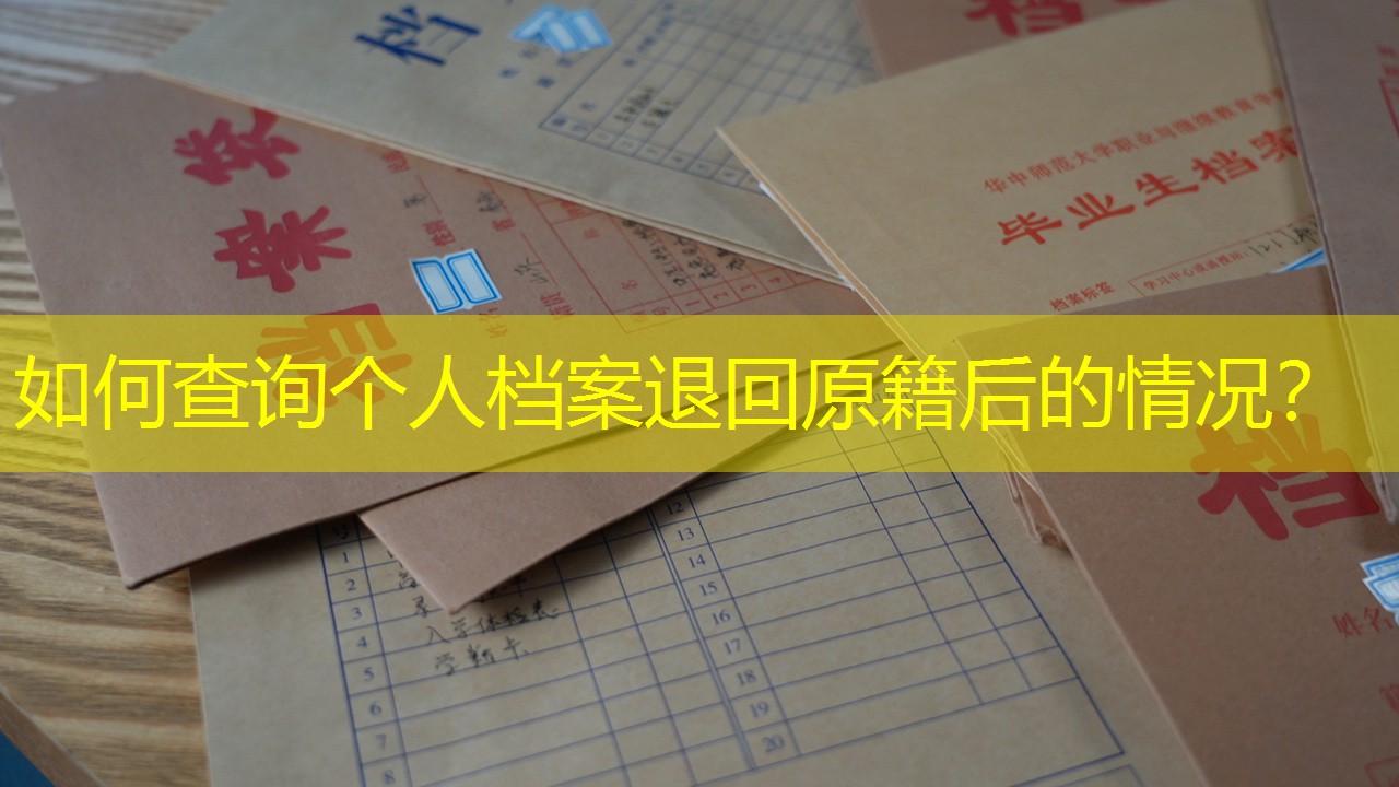 档案查询