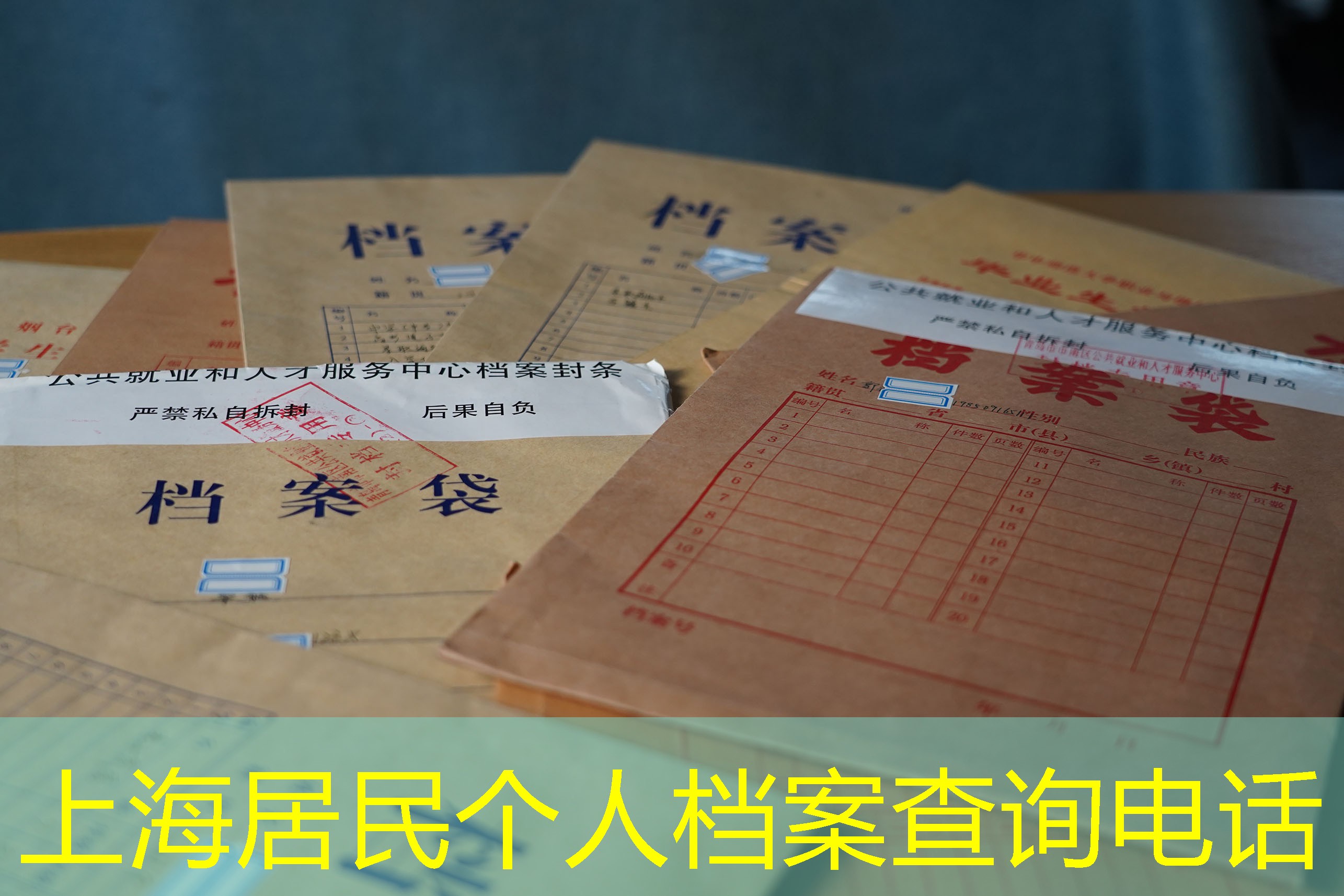 档案查询