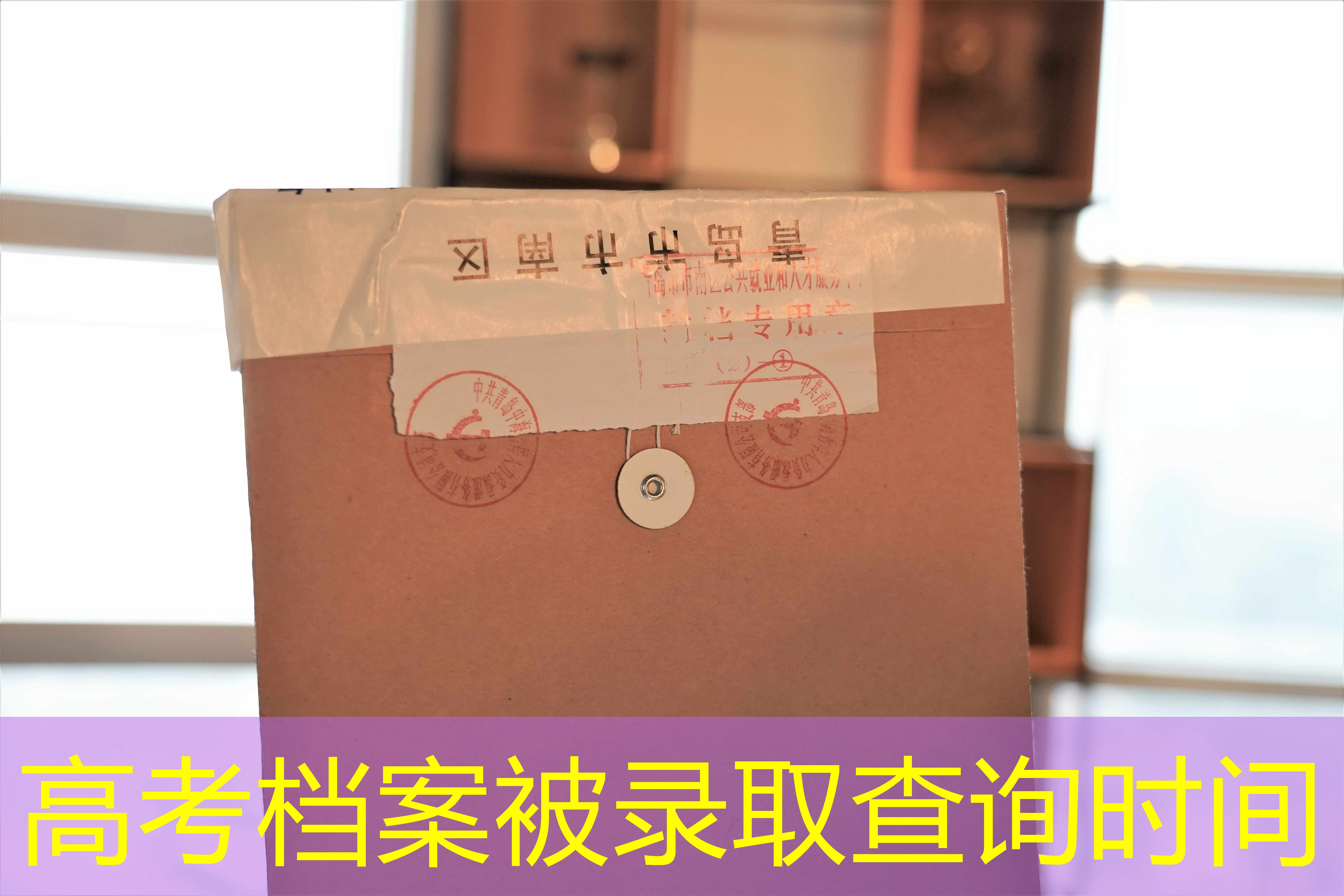 档案查询
