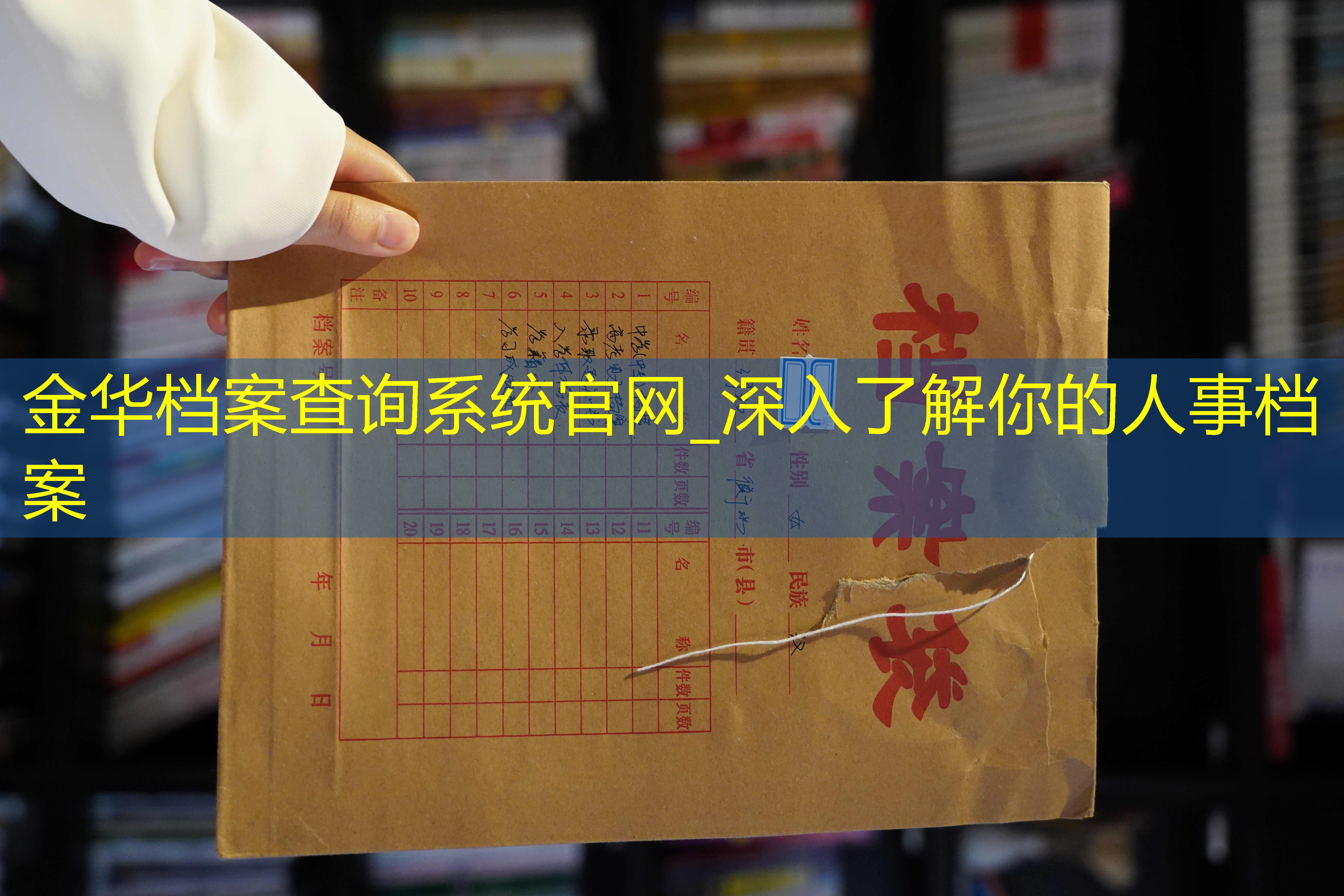 档案查询