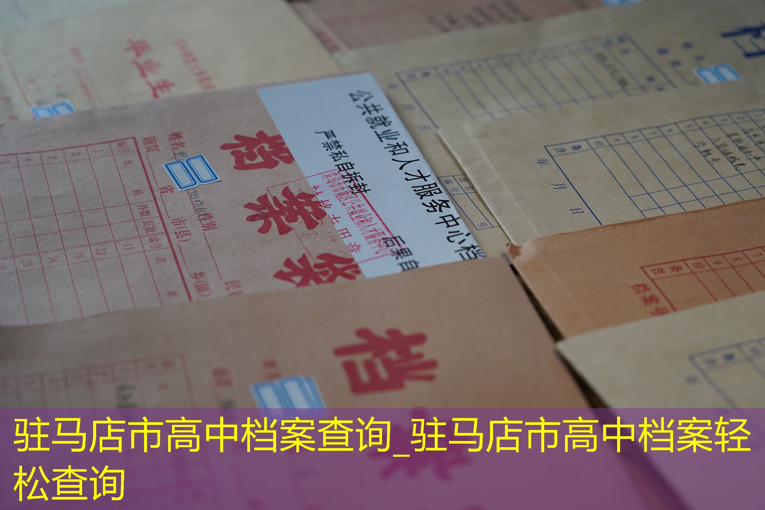 档案查询