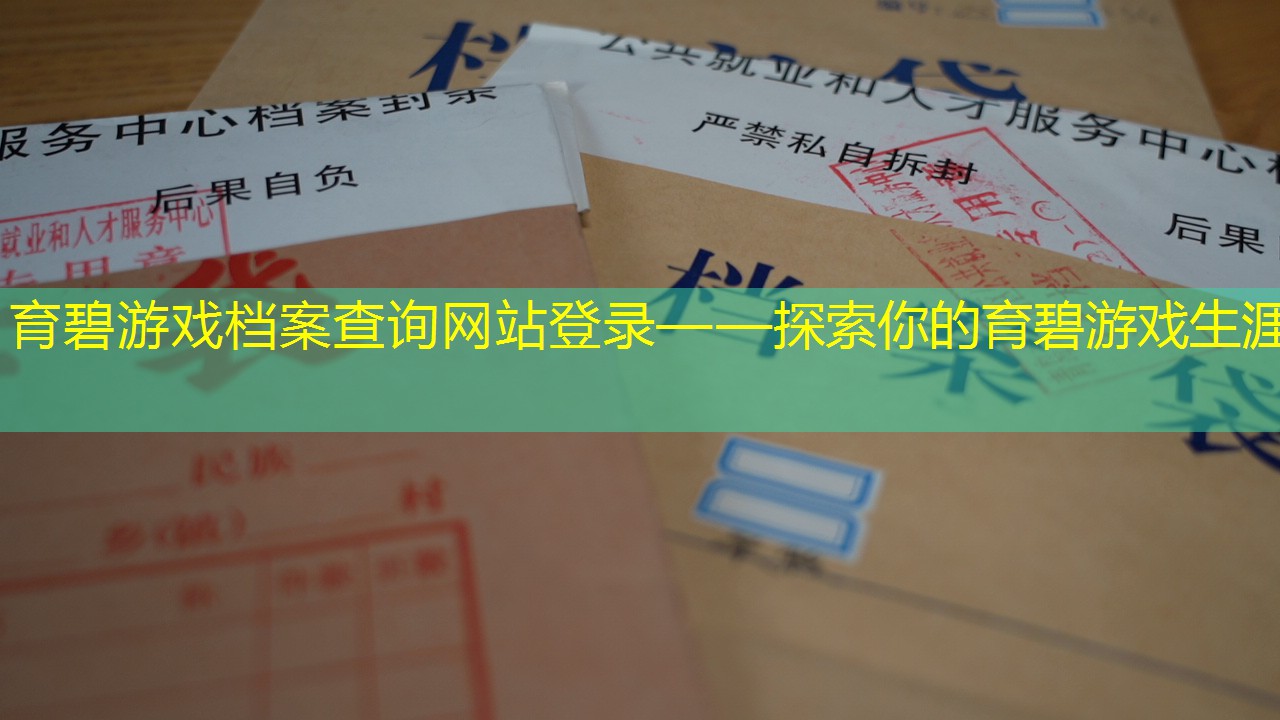档案查询
