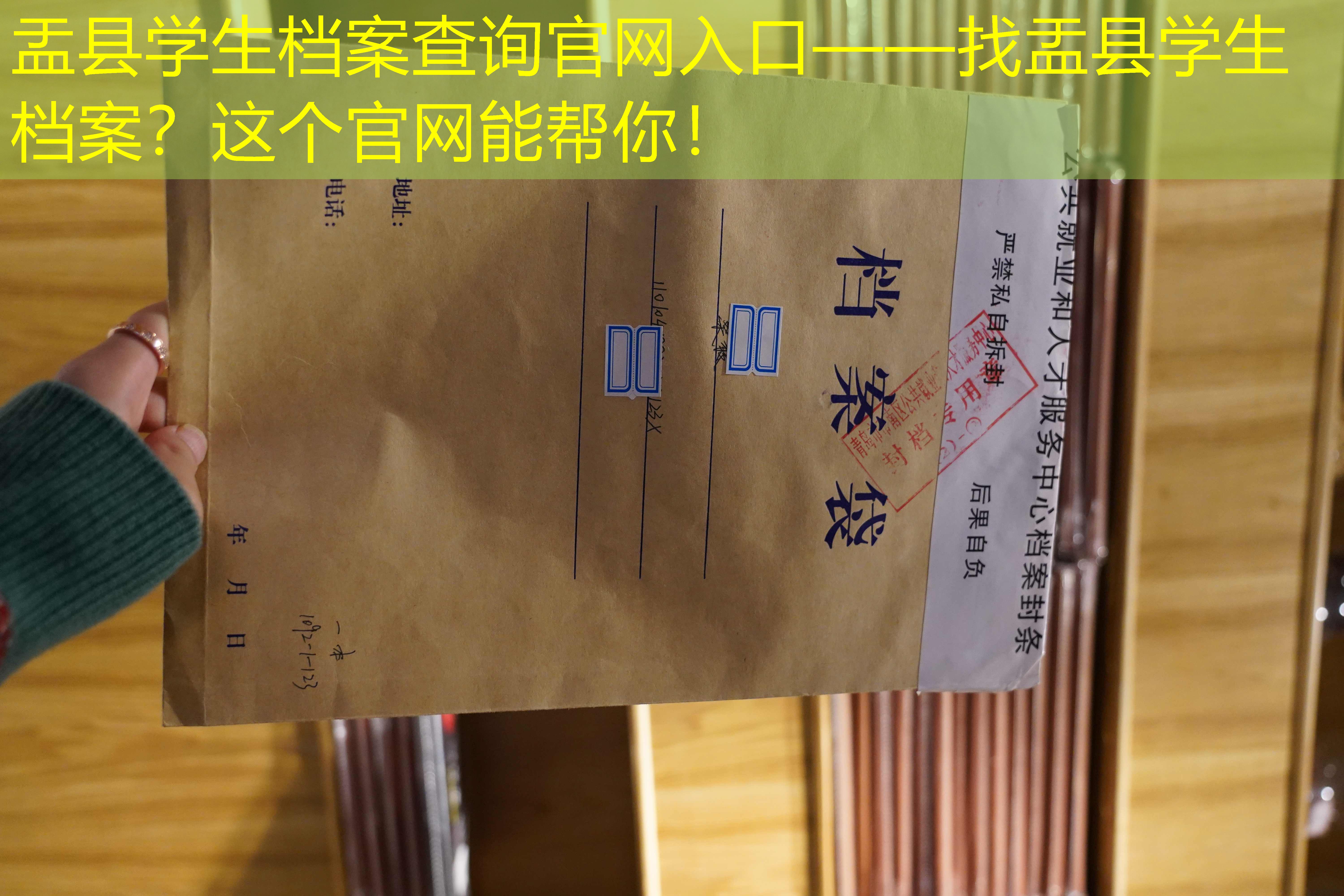 档案查询