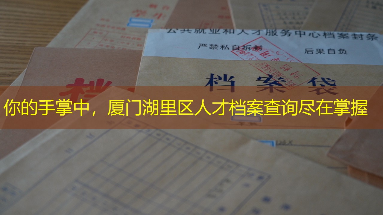 档案查询