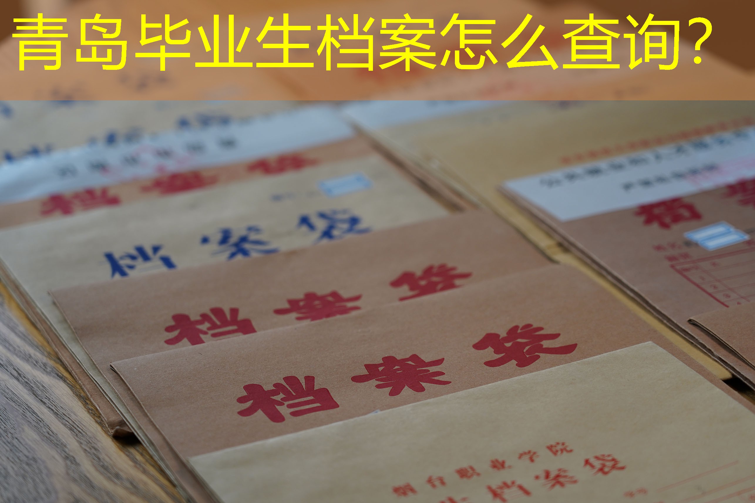 档案查询