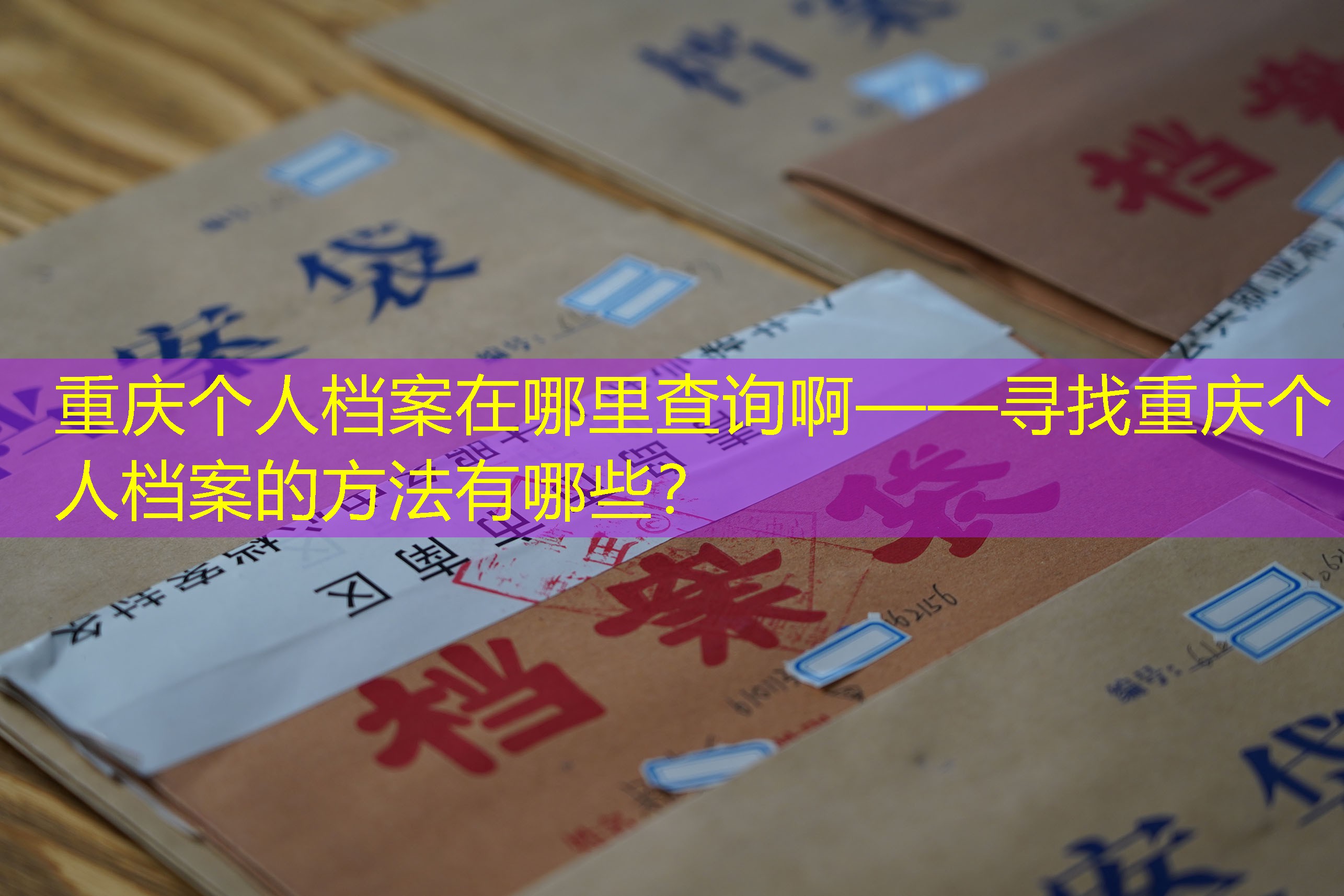 档案查询