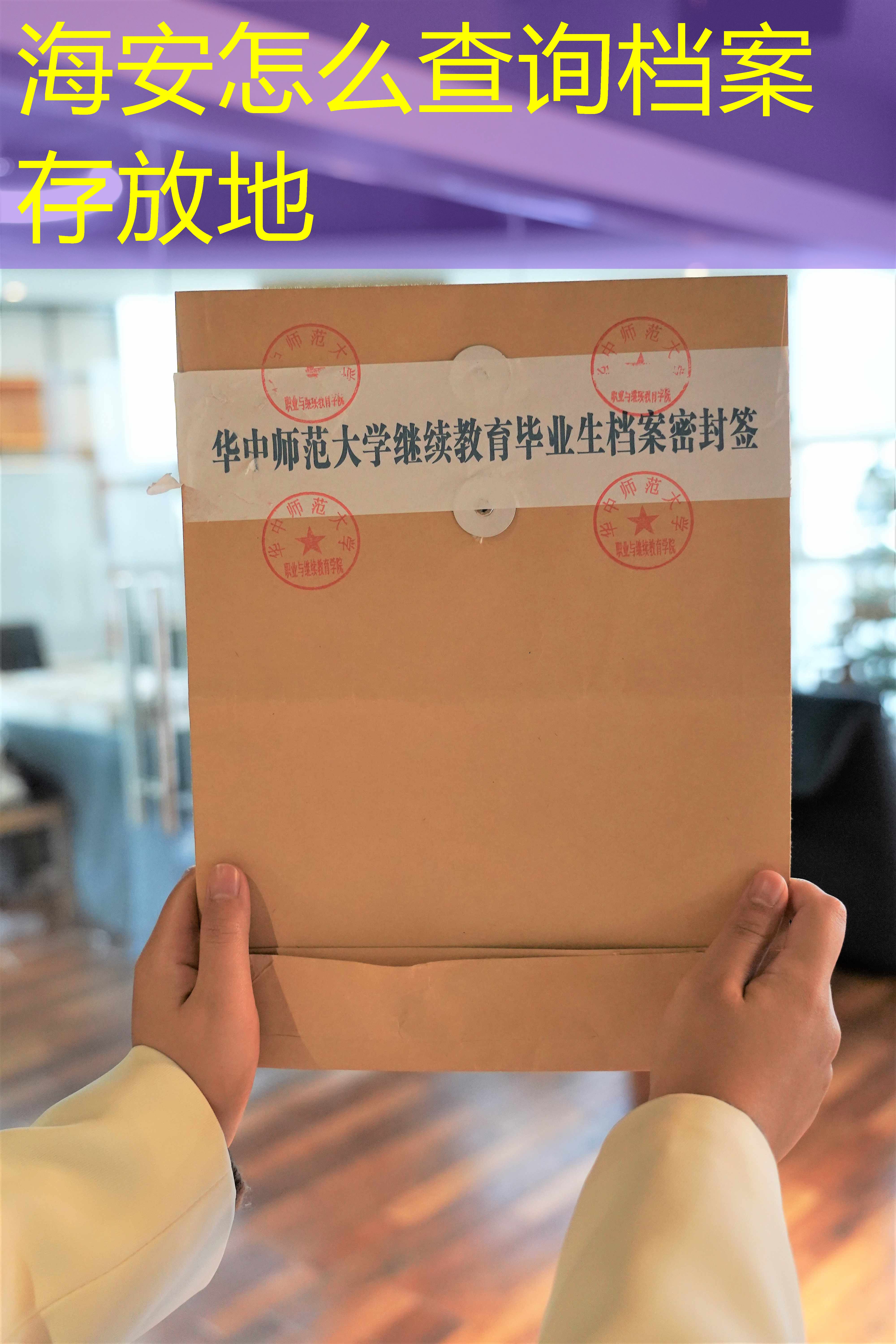 档案查询
