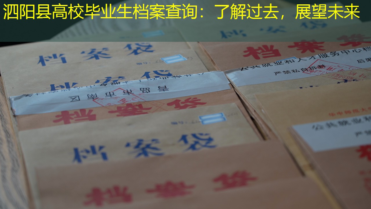 档案查询