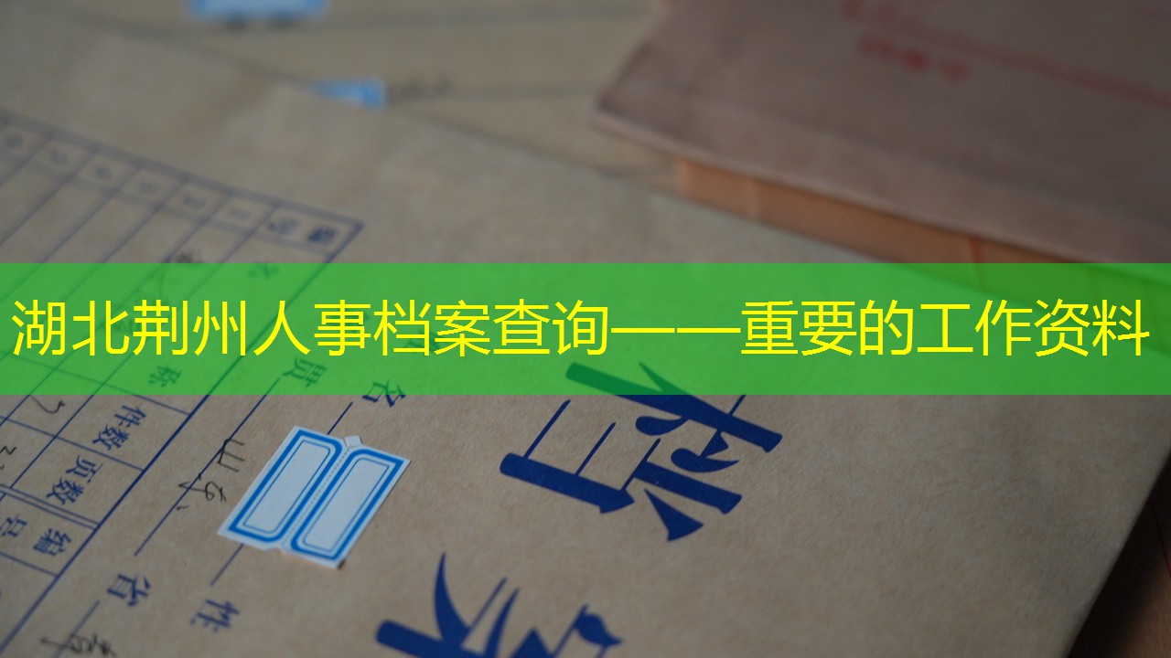 档案查询