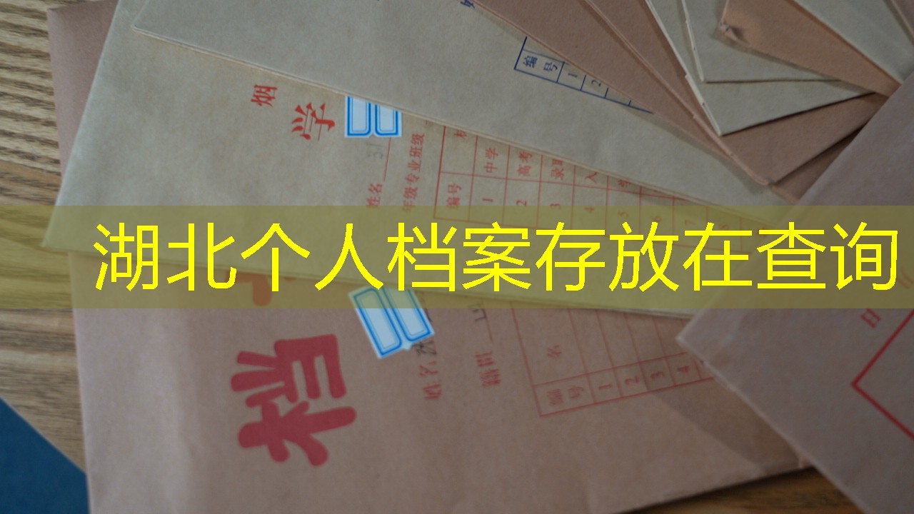 档案查询
