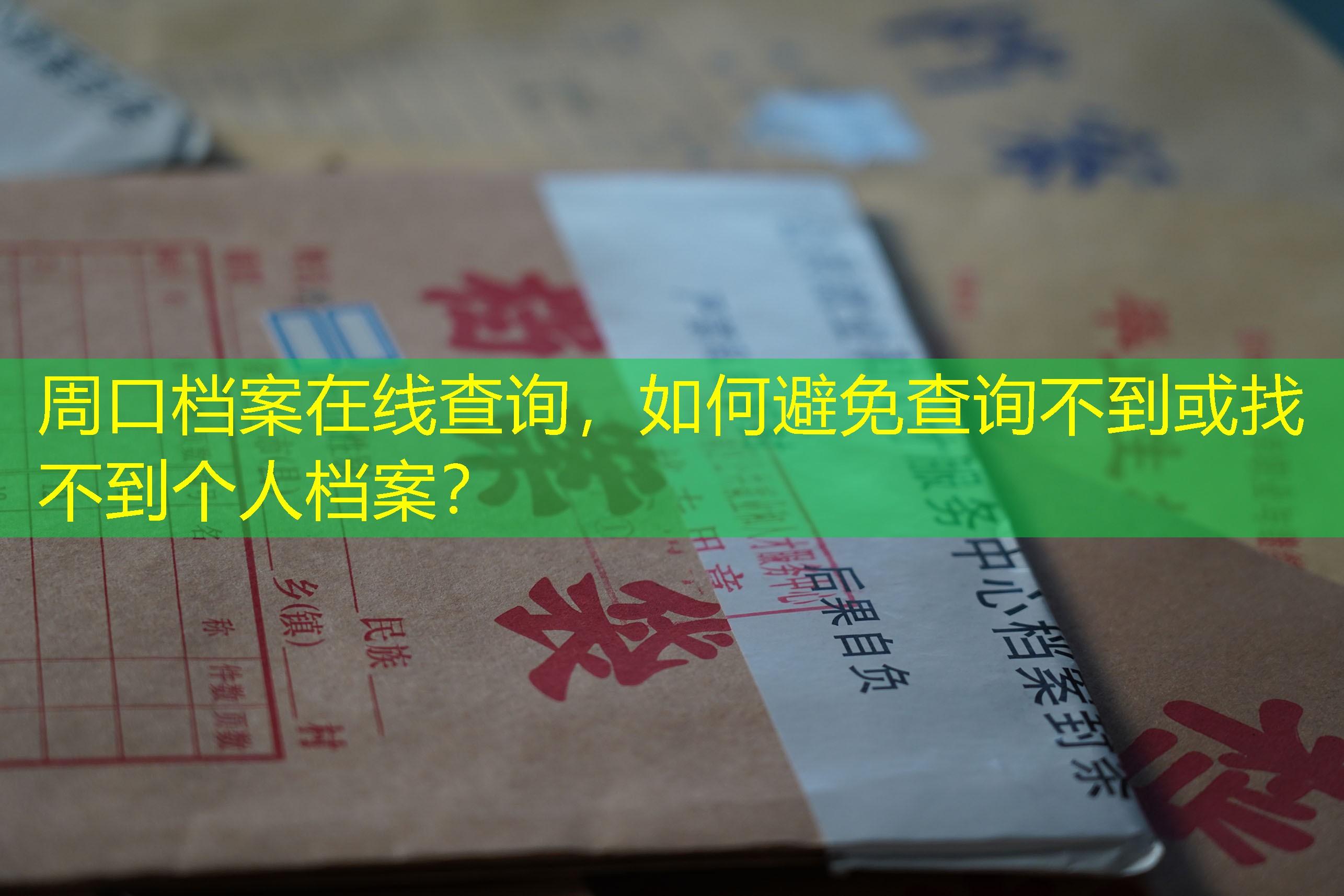档案查询