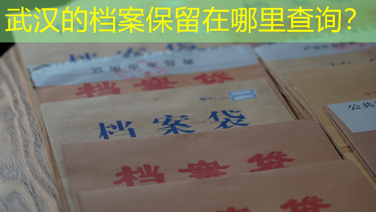 档案查询