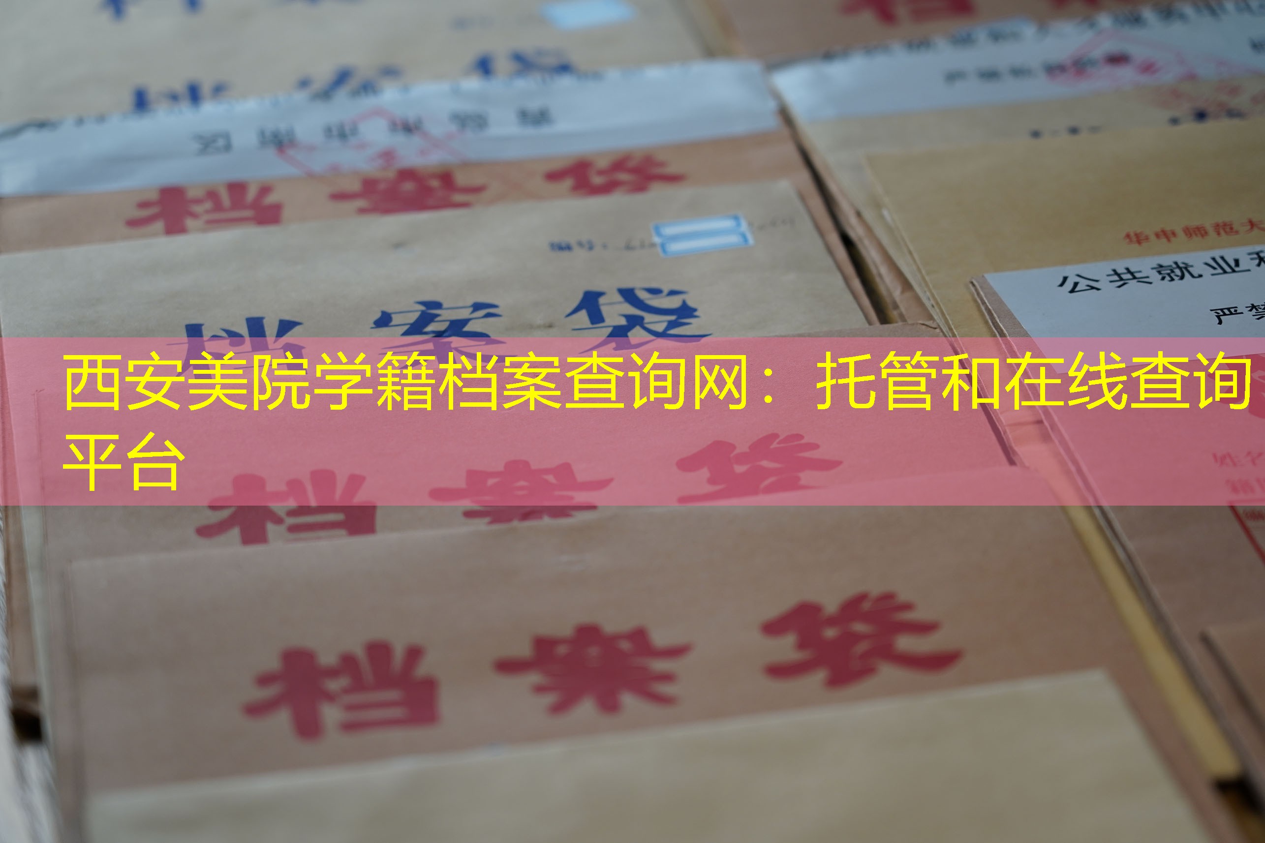 档案查询