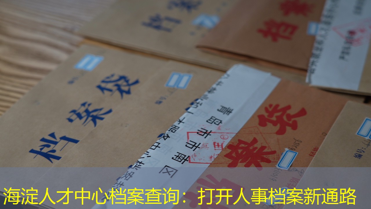 档案查询
