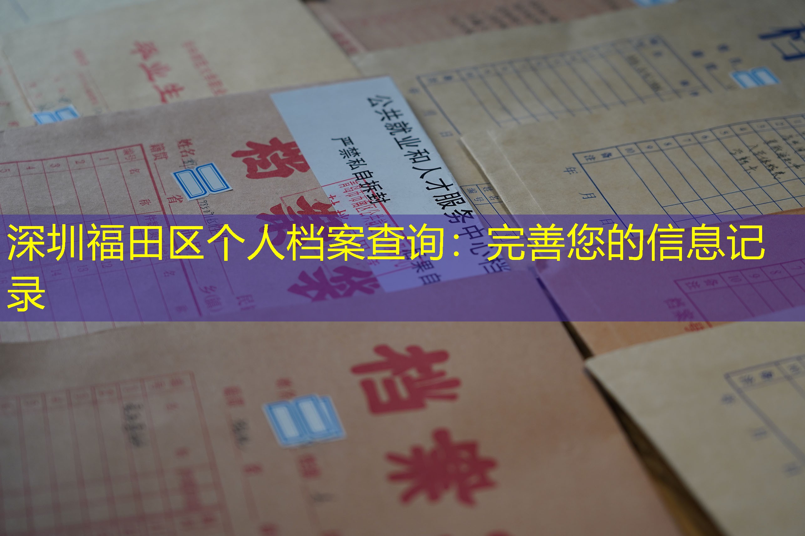 档案查询