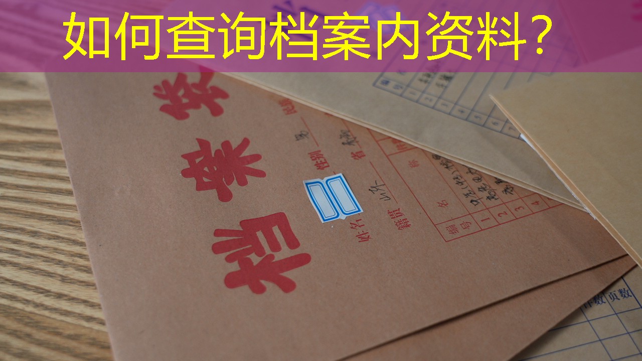 档案查询