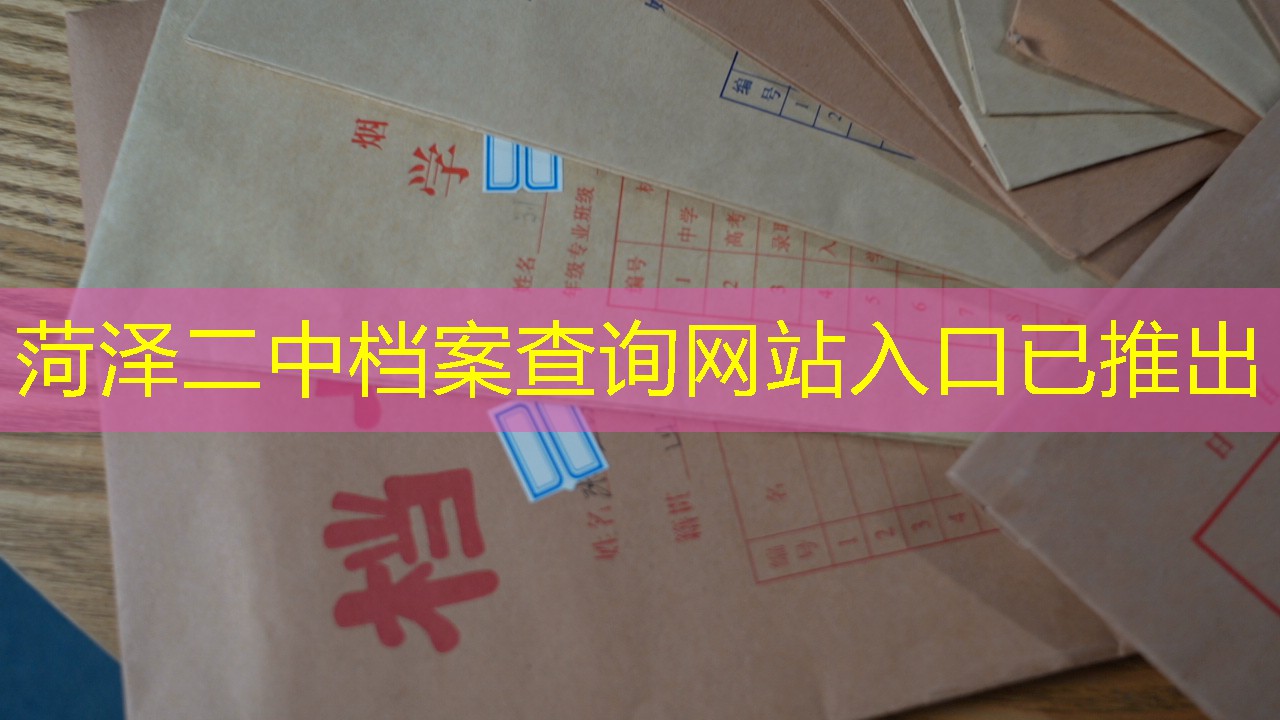档案查询