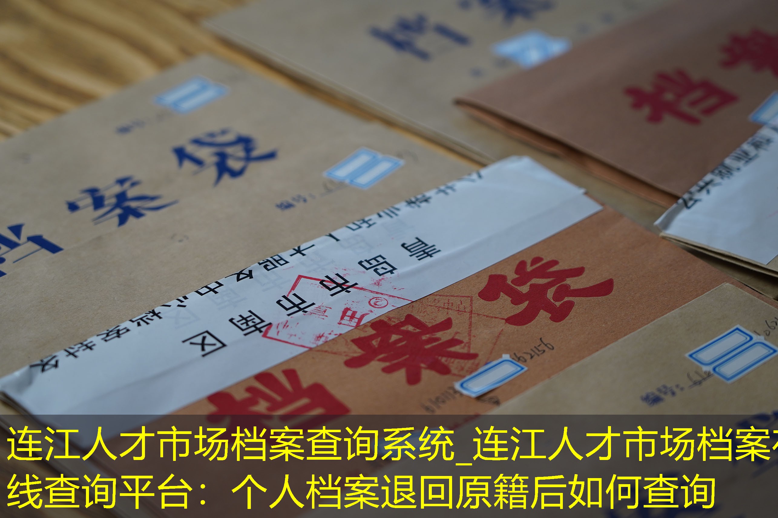 档案查询