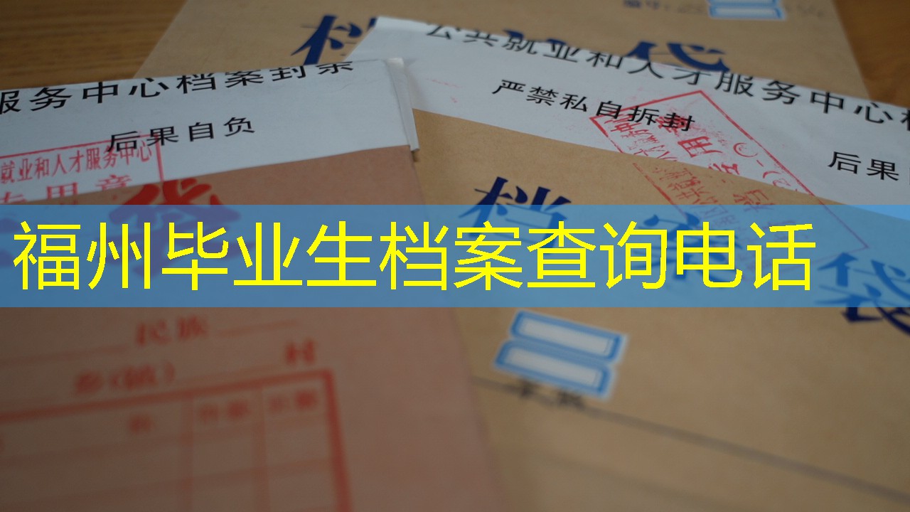 档案查询