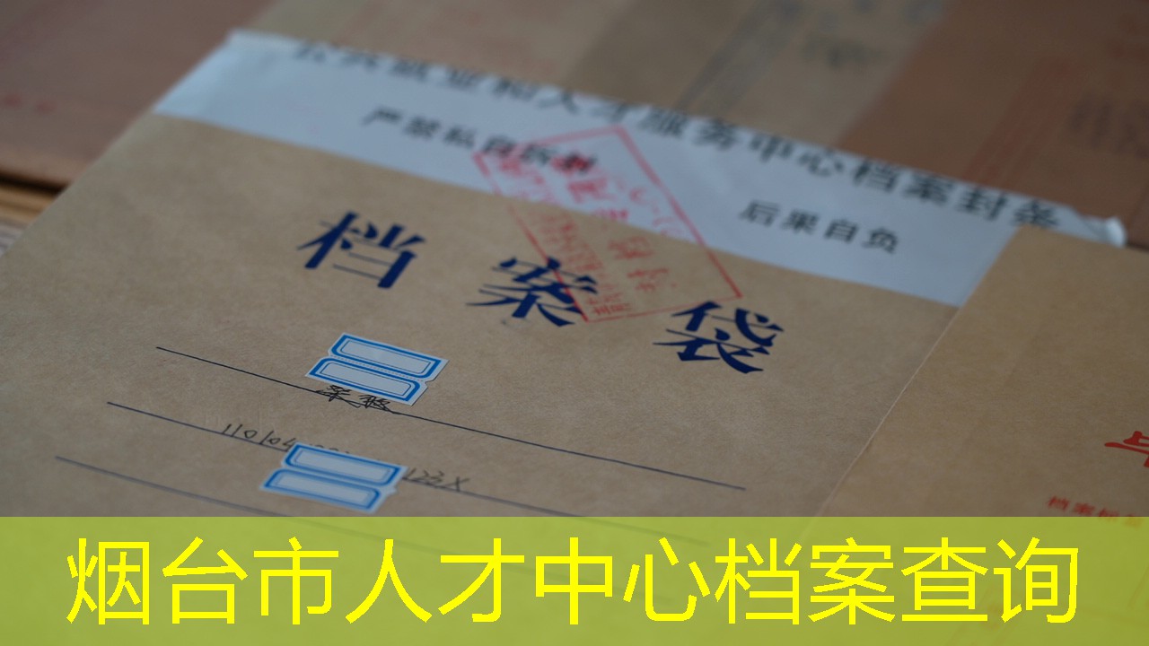 档案查询