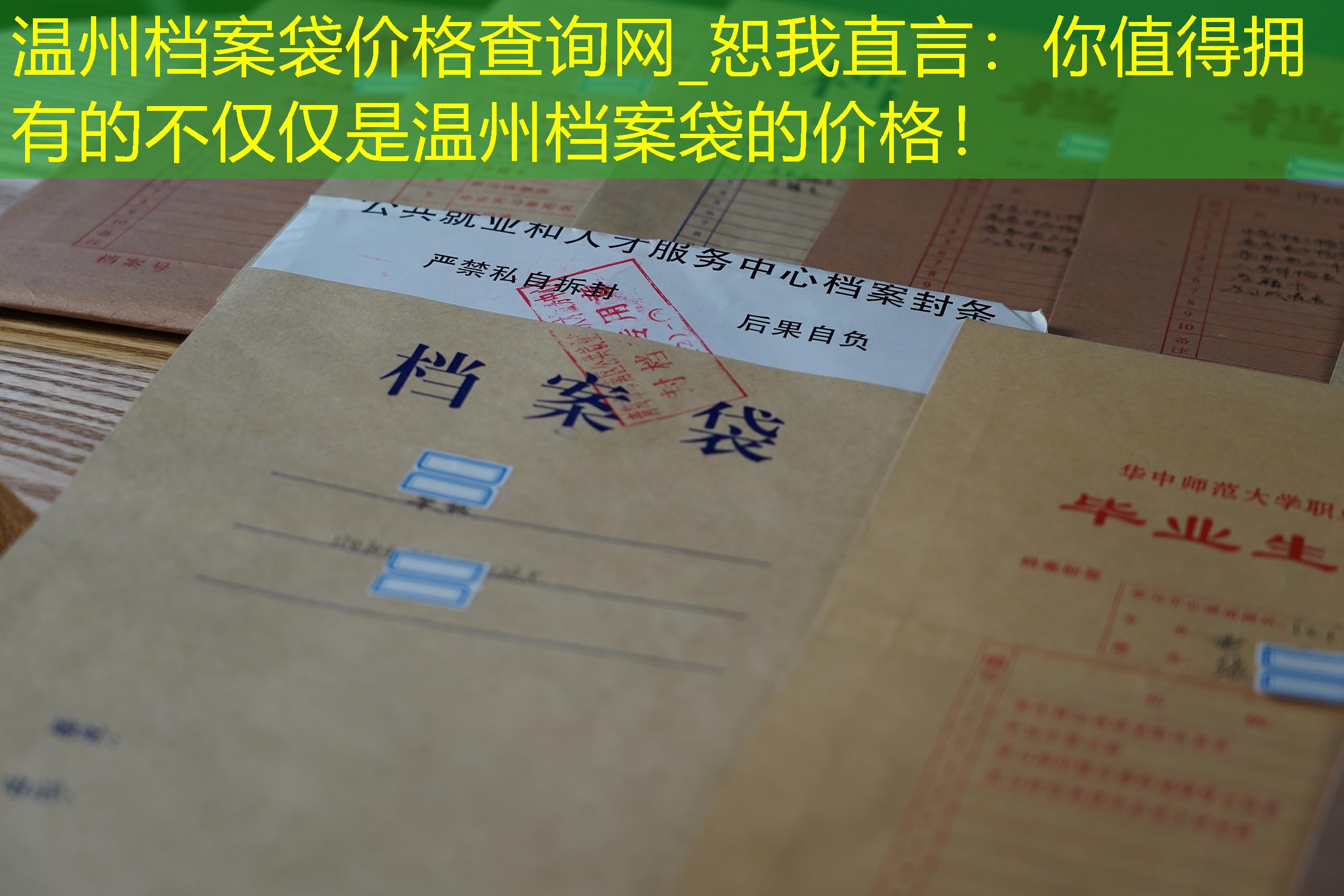 档案查询