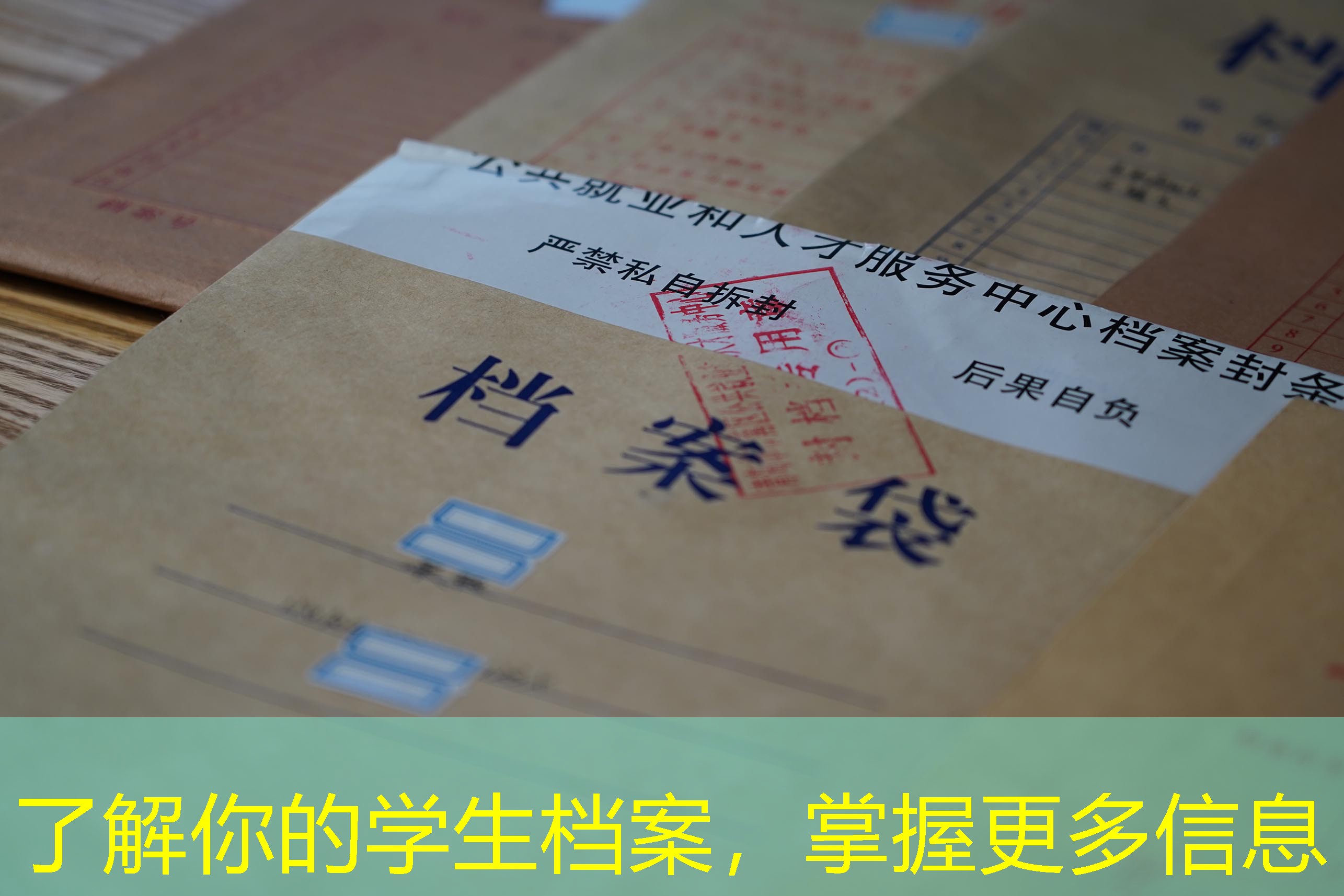 档案查询