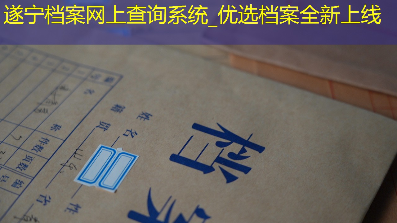 档案查询