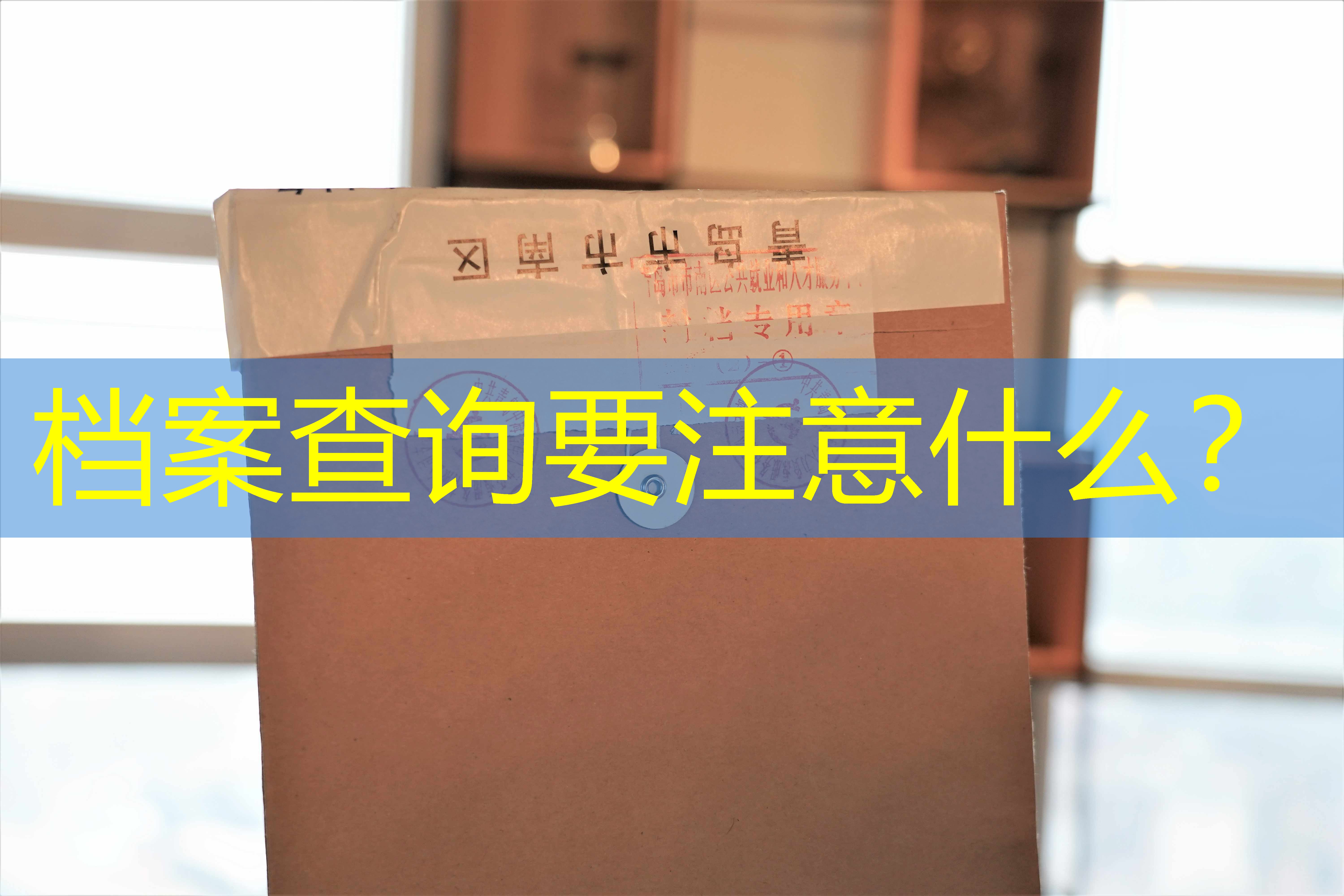 档案查询