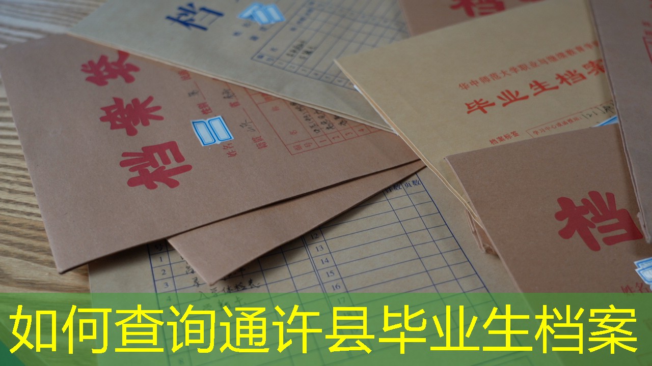 档案查询
