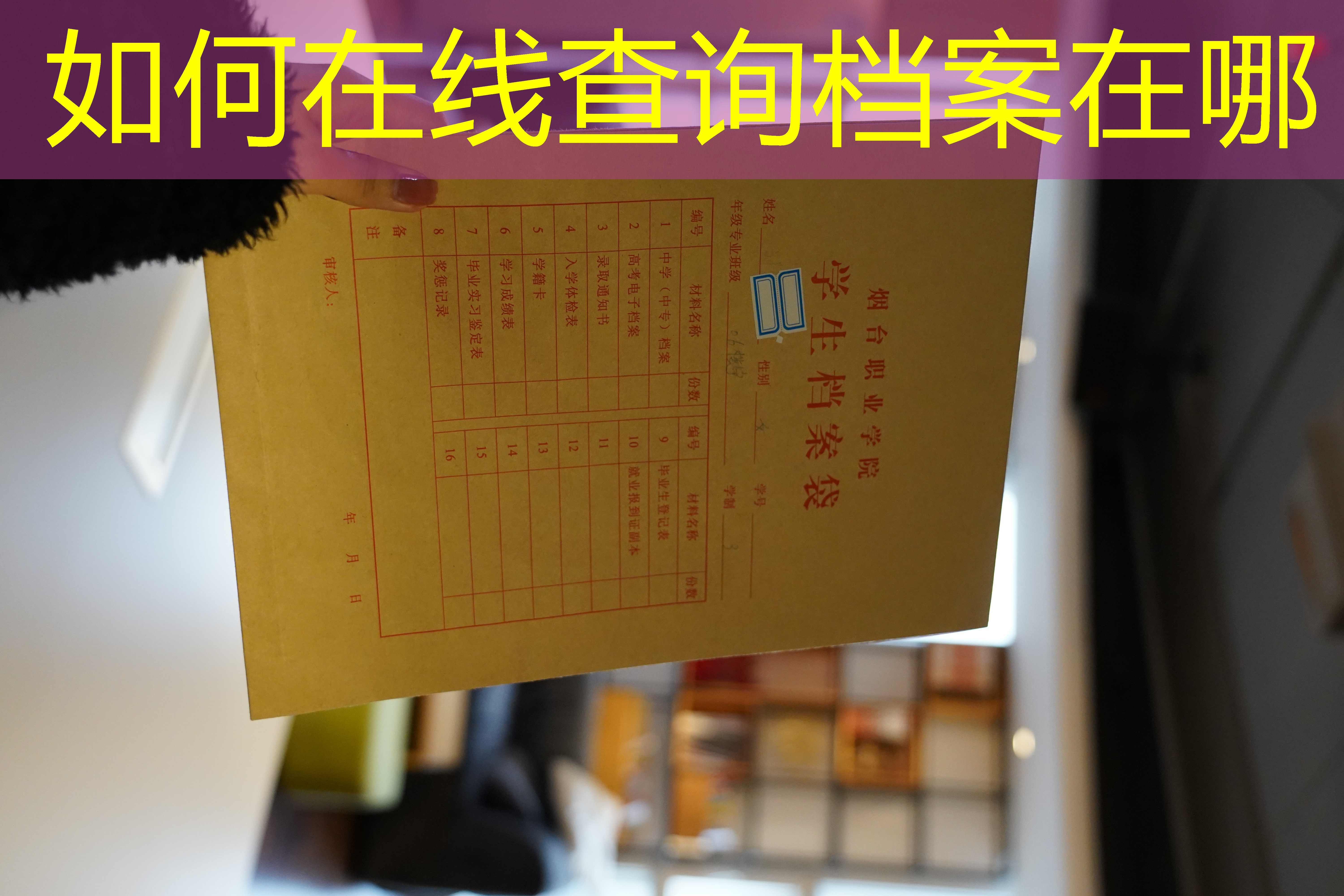 档案查询