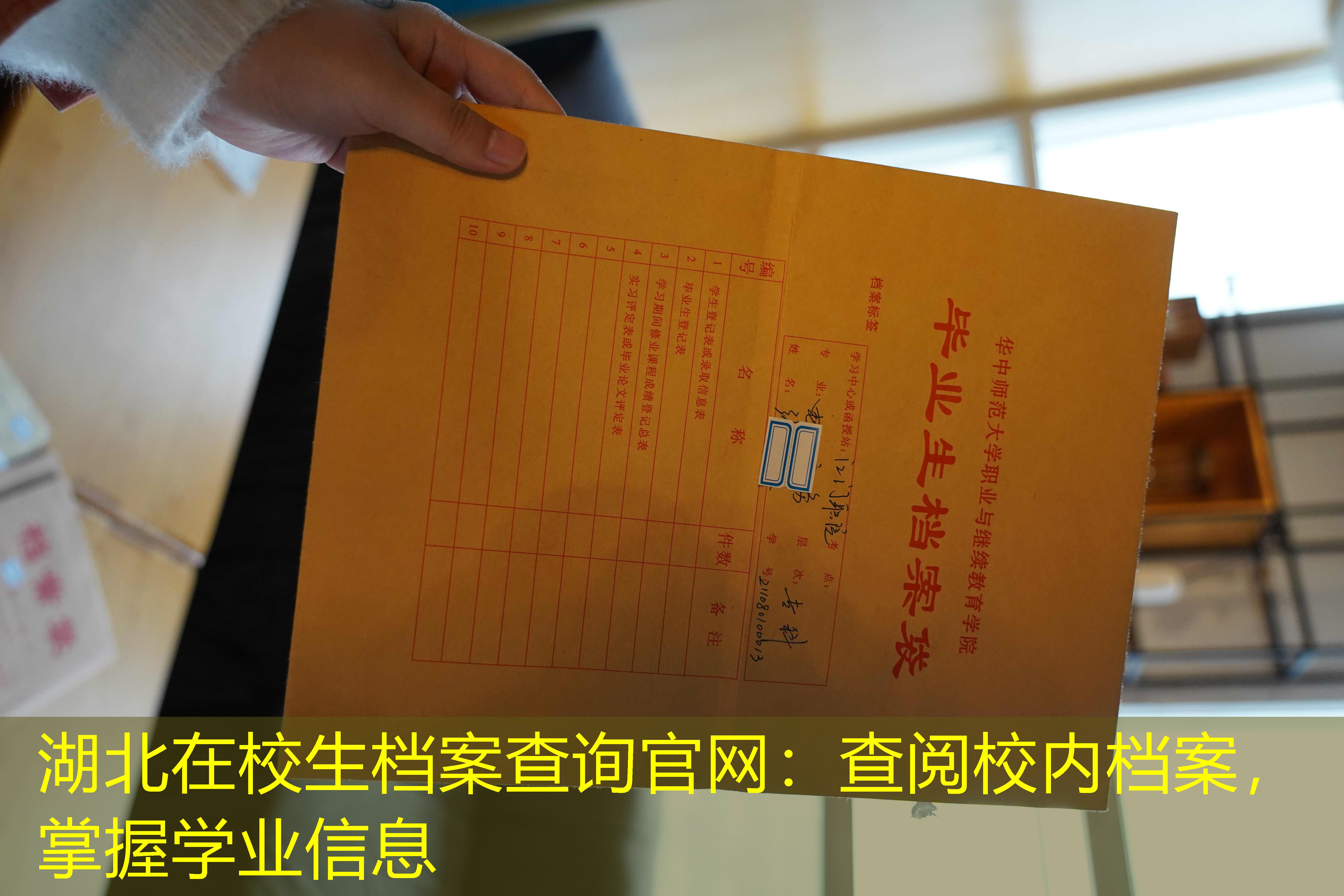 档案查询