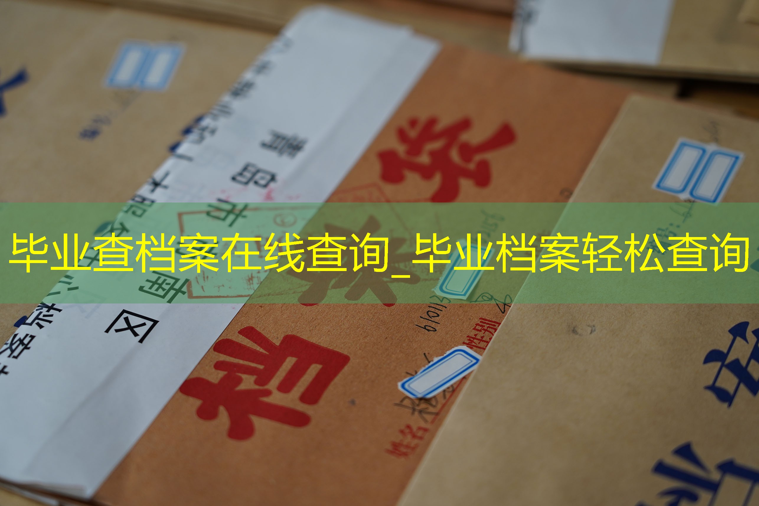 档案查询
