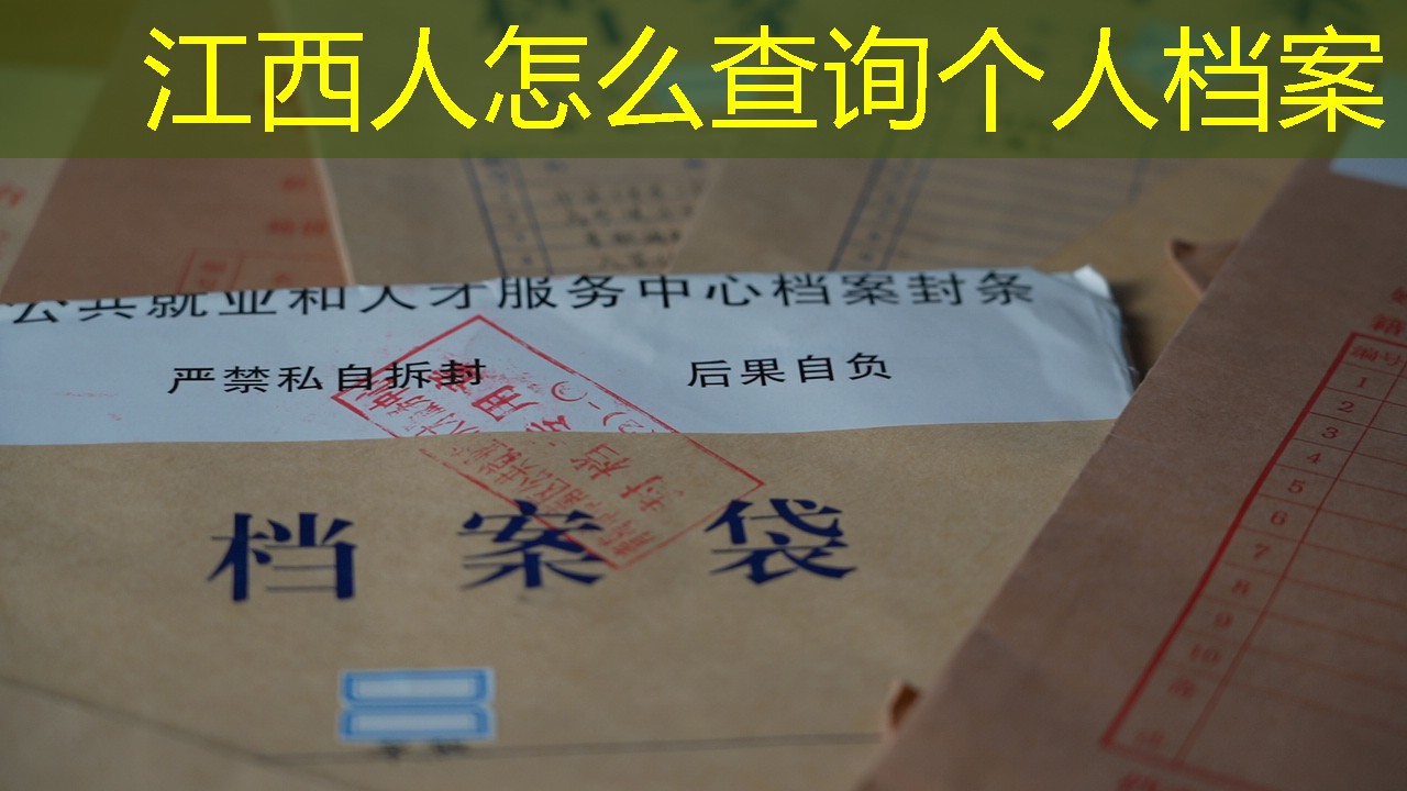 档案查询