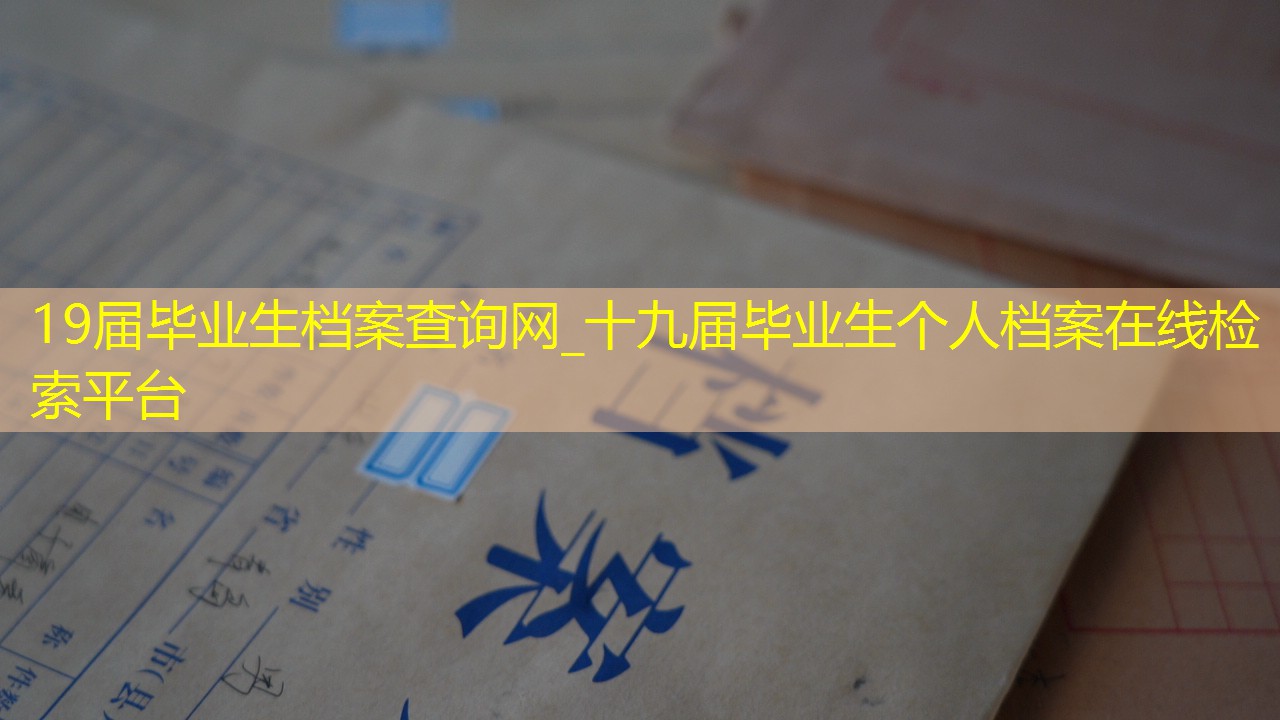 档案查询