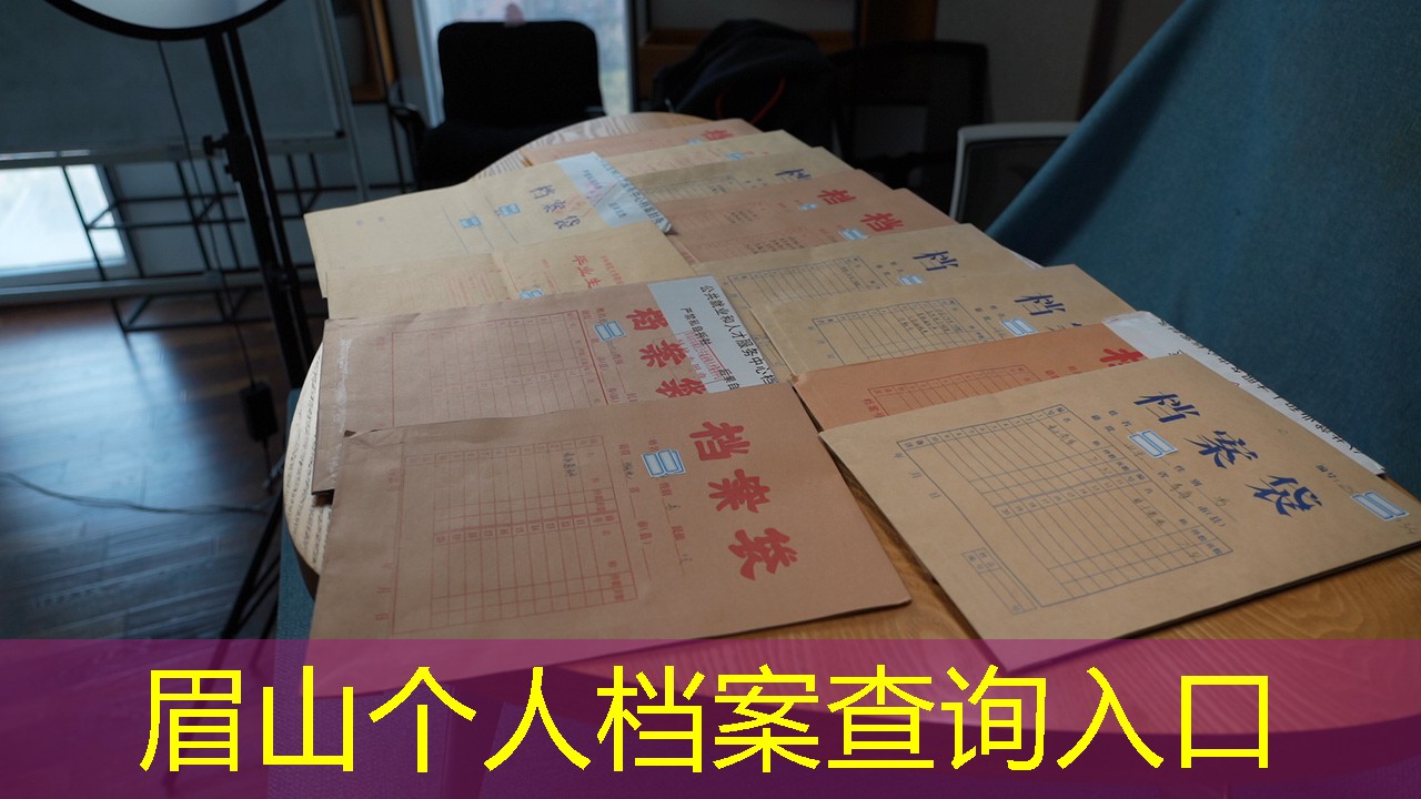 档案查询