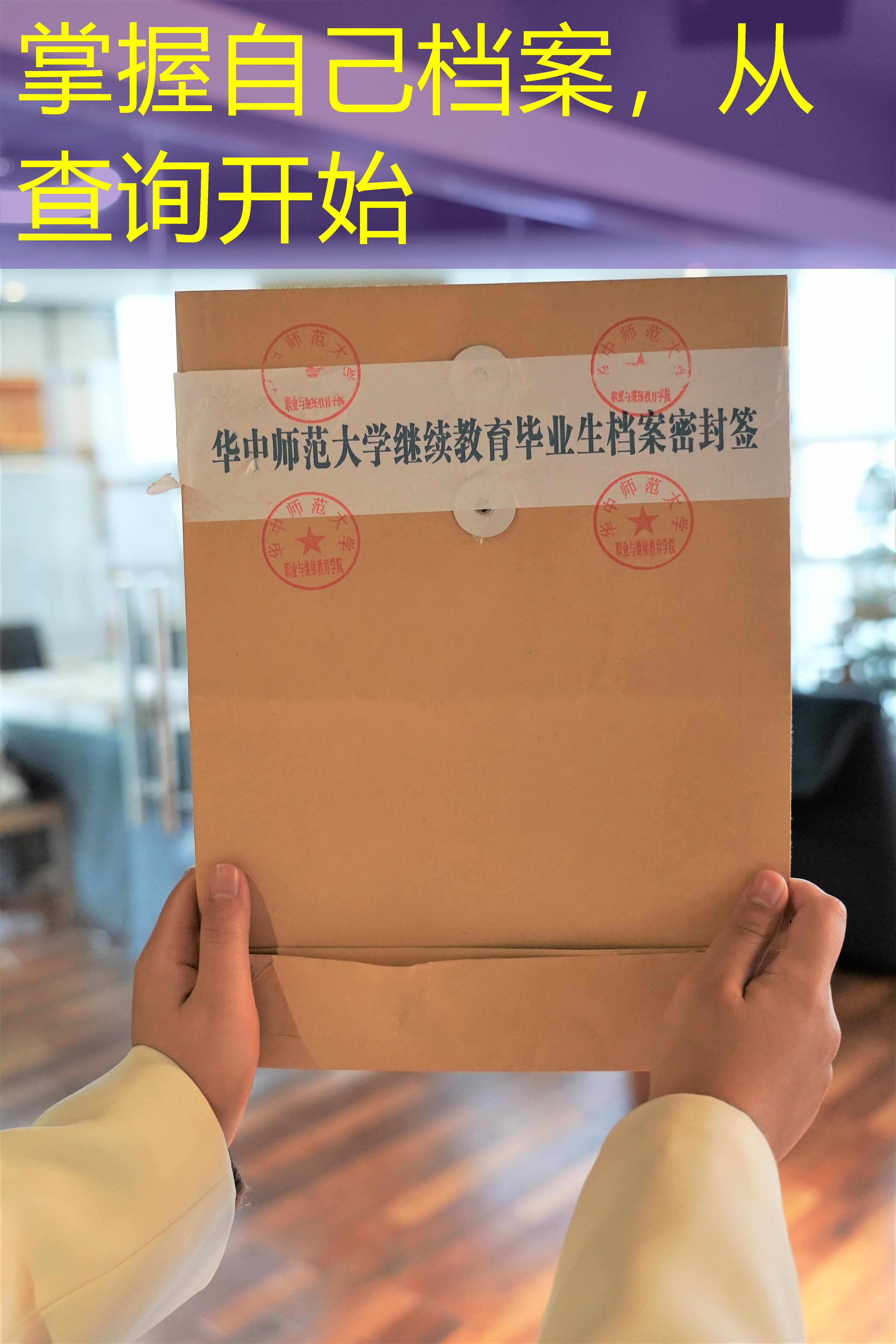 档案查询