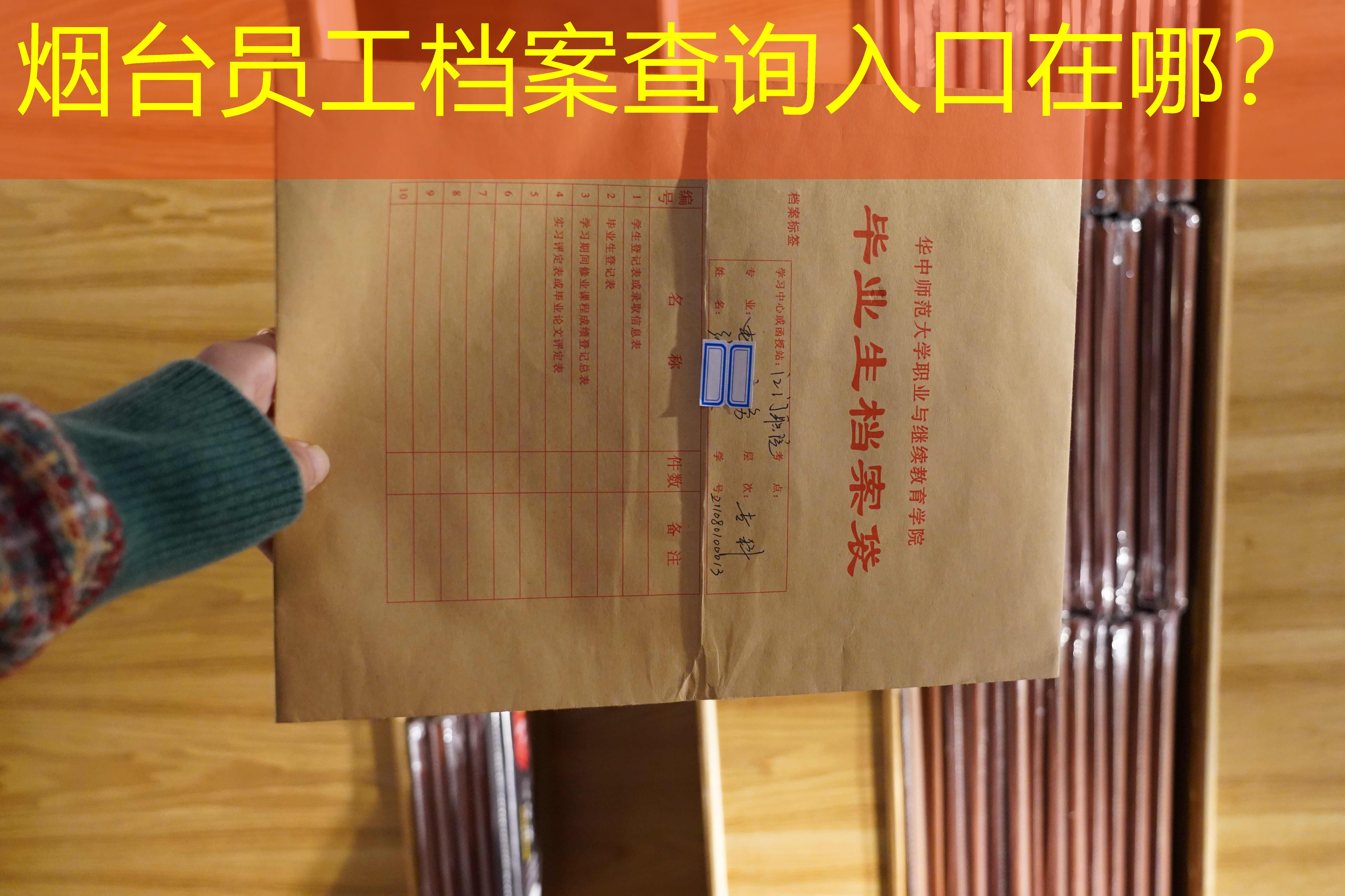 档案查询