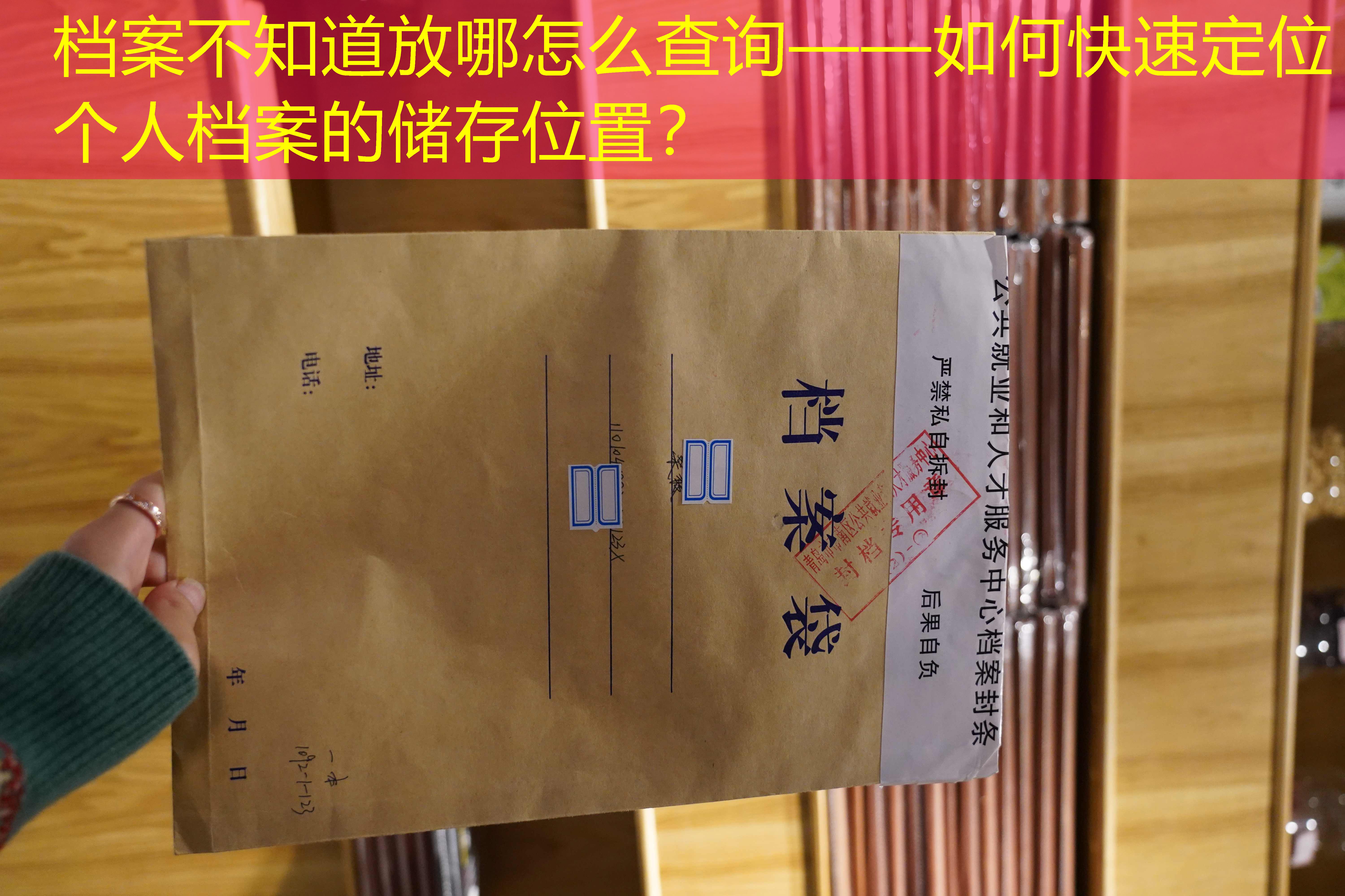 档案查询