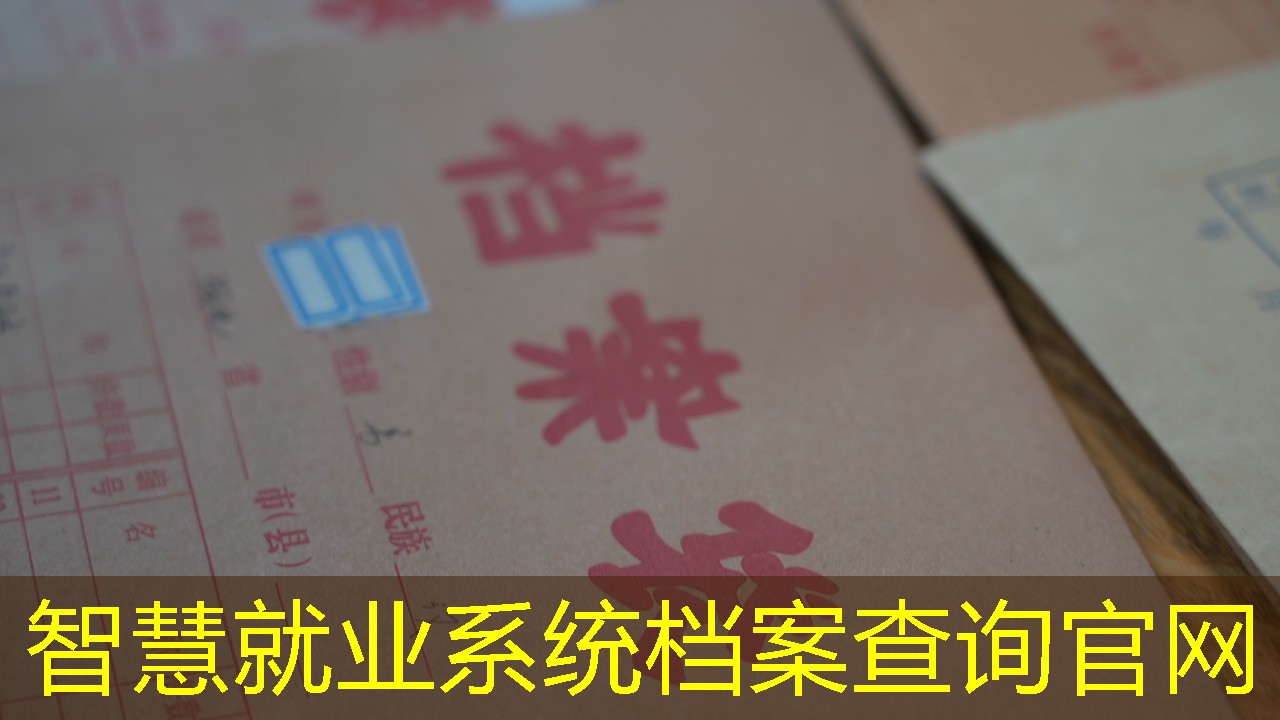 档案查询